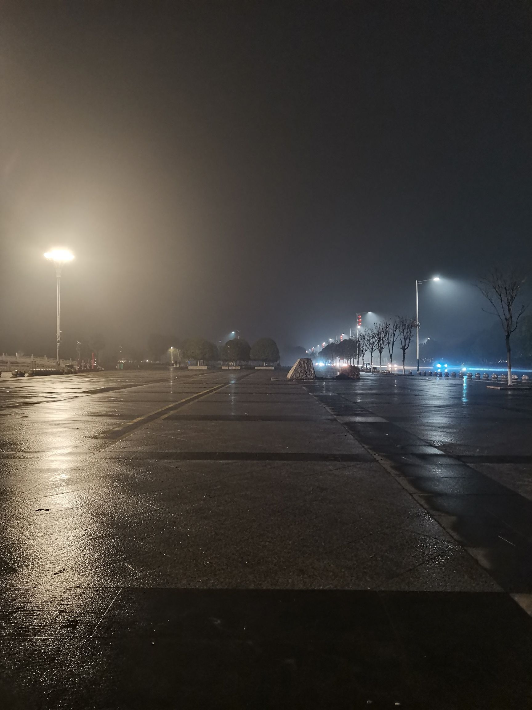 高新森林公园旅行图片 2