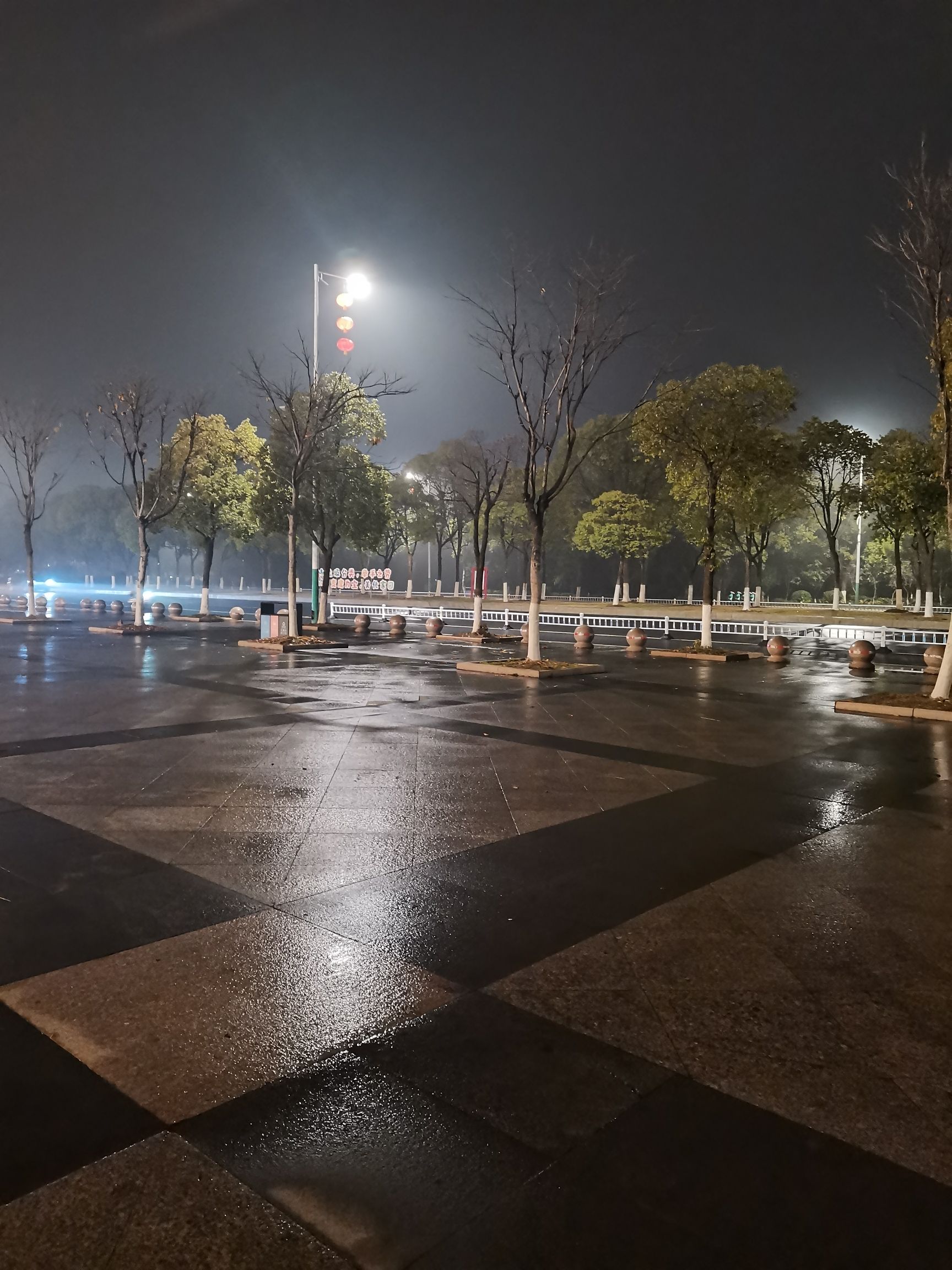 高新森林公园旅行图片 3