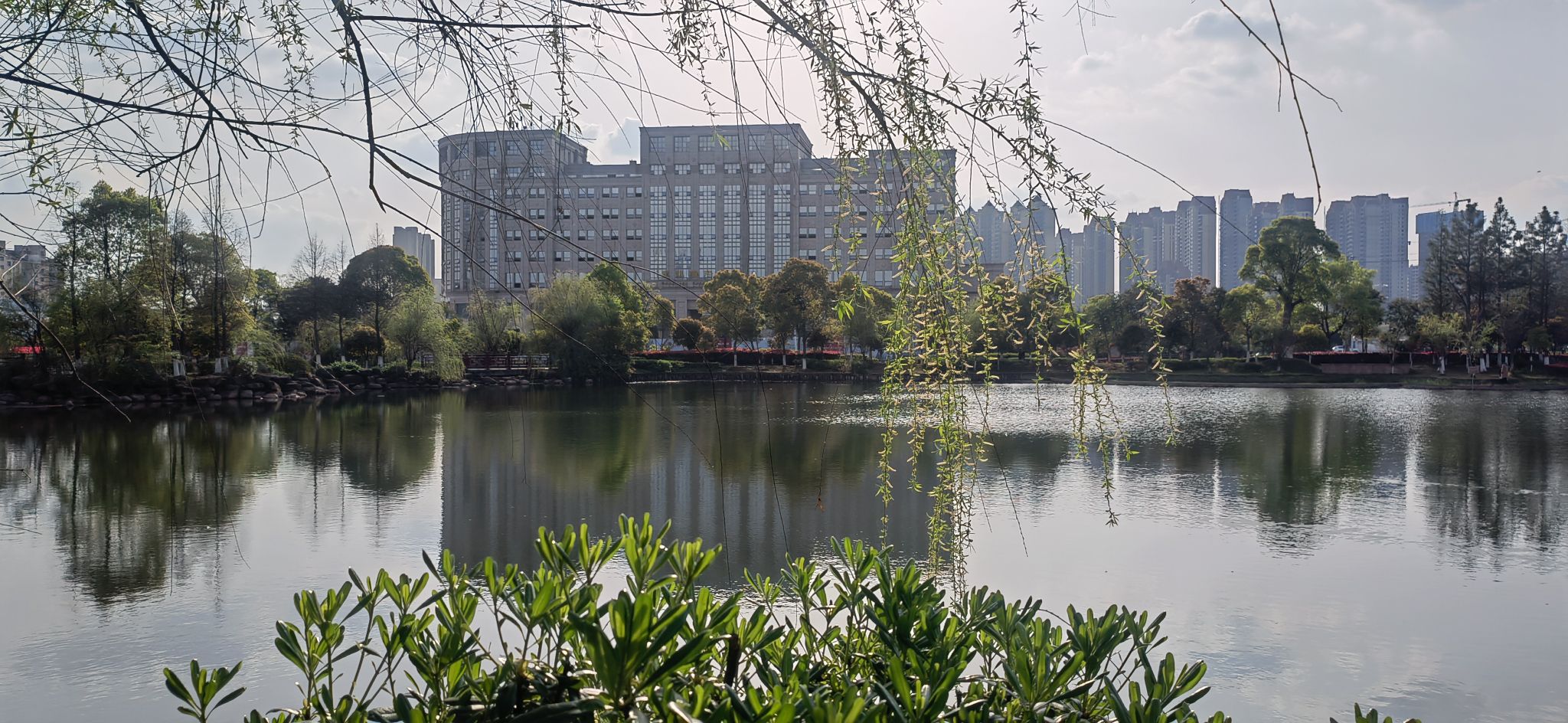 高新森林公园旅行图片 3