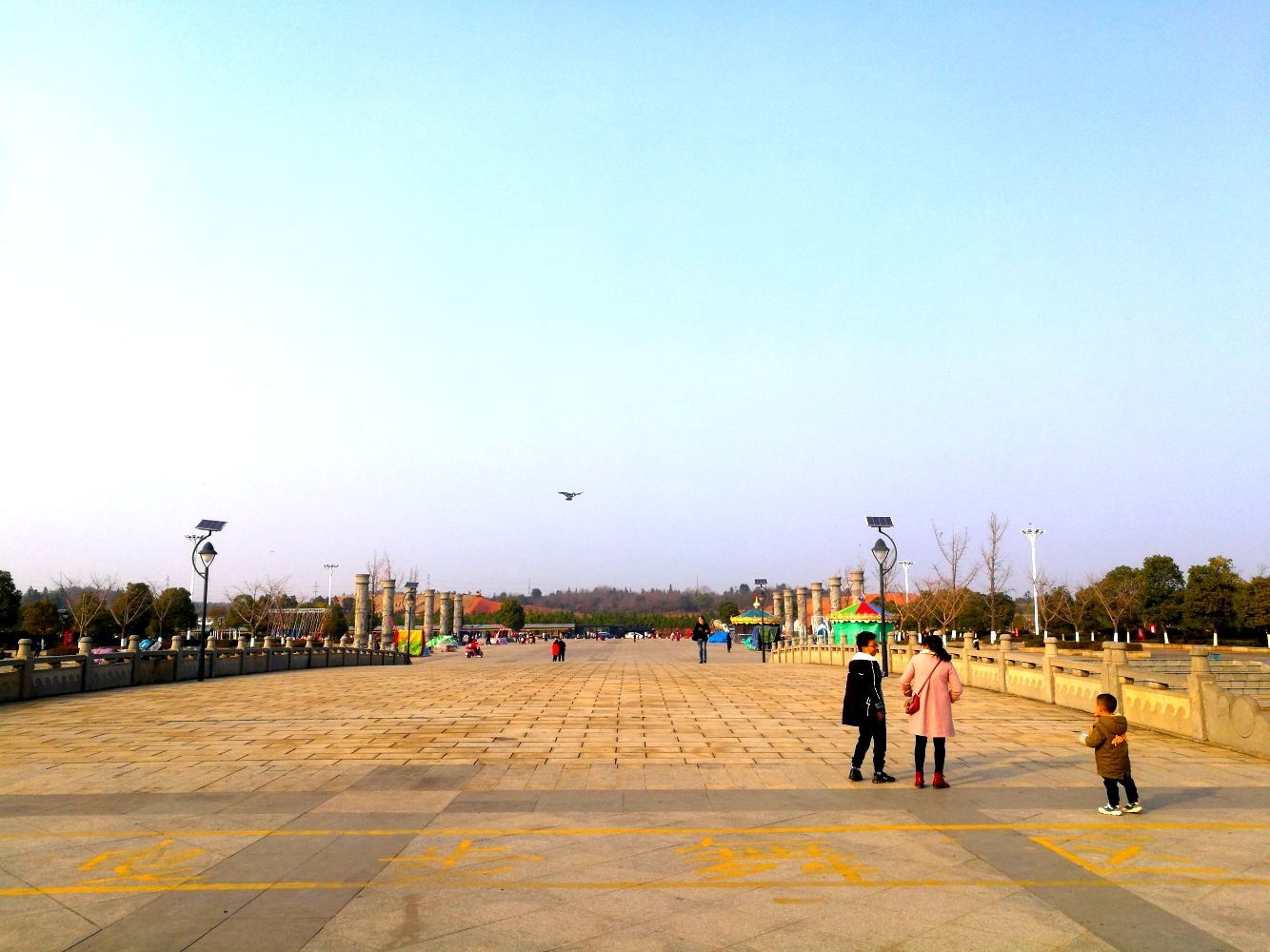 高新森林公园旅行图片 2