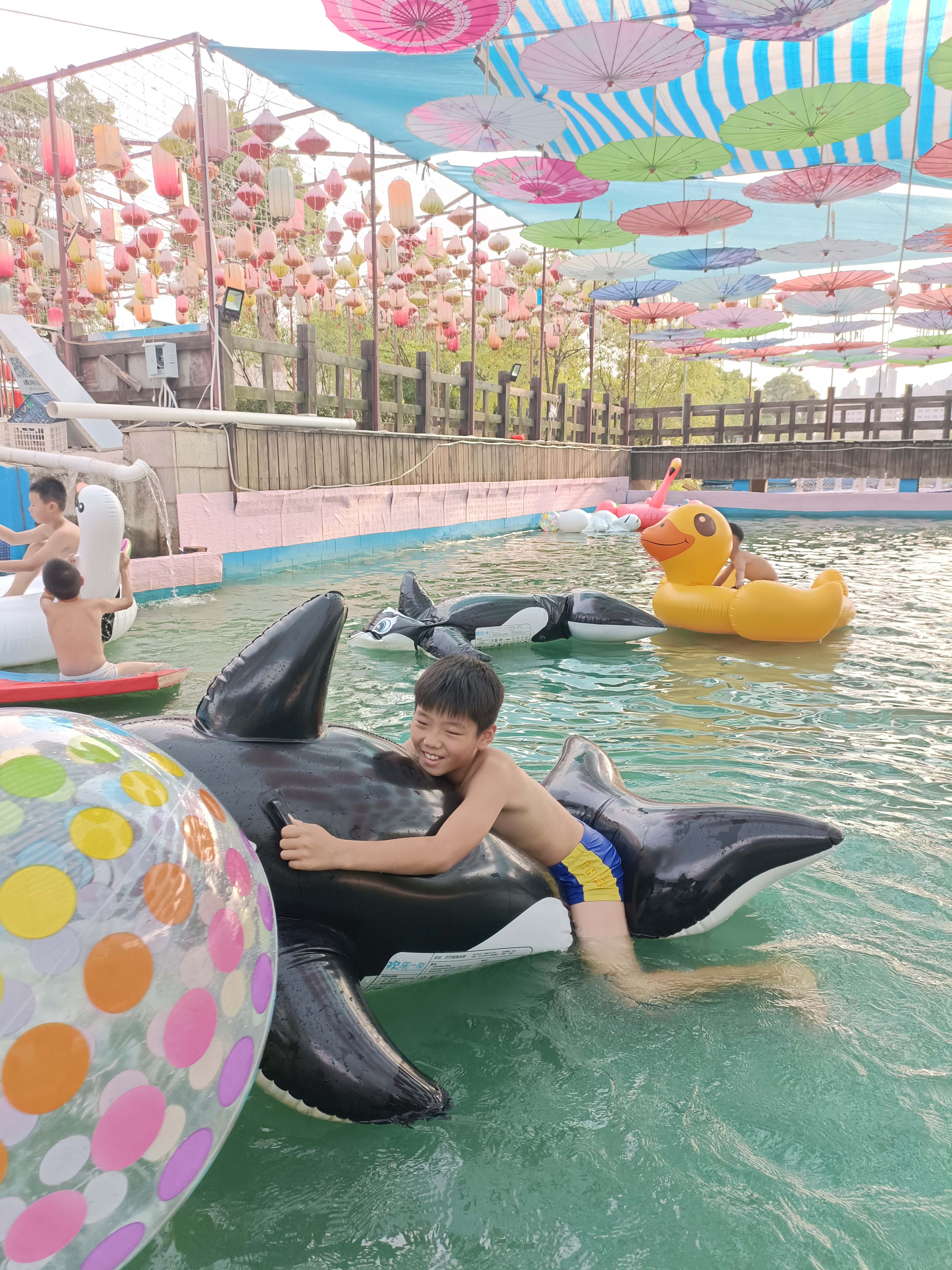 高新森林公园旅行图片 1