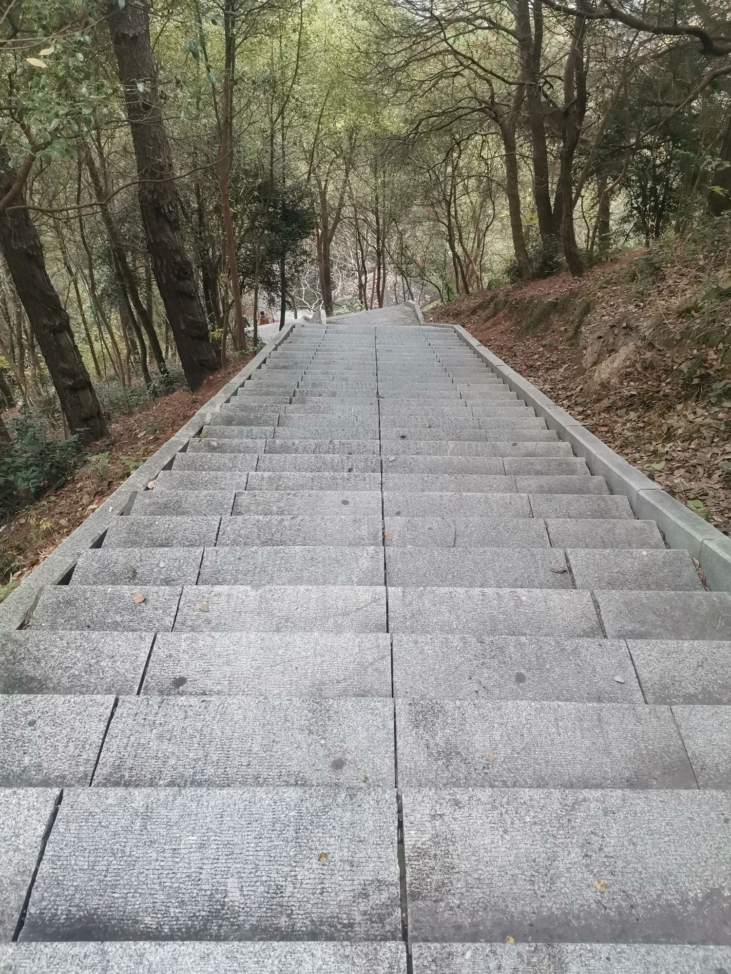 庄岗岭公园旅行图片 2