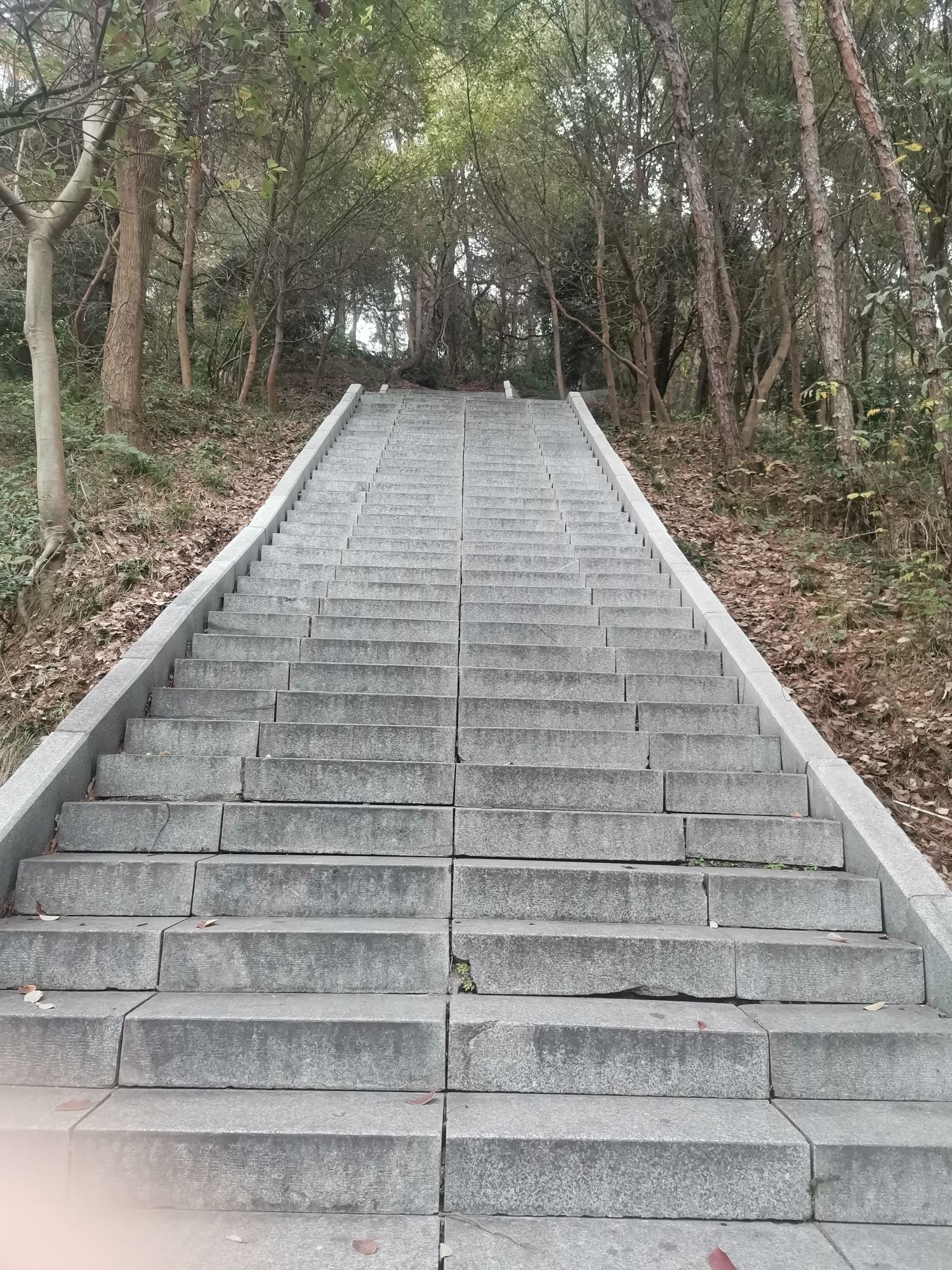 庄岗岭公园旅行图片 3