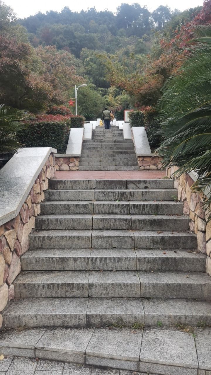 庄岗岭公园旅行图片 1