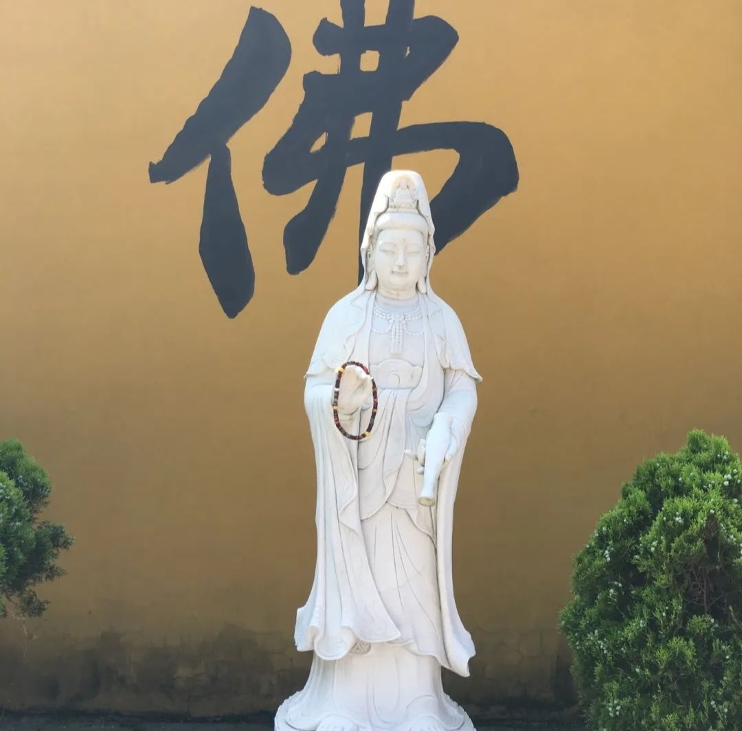 仙女湖广场旅行图片 3