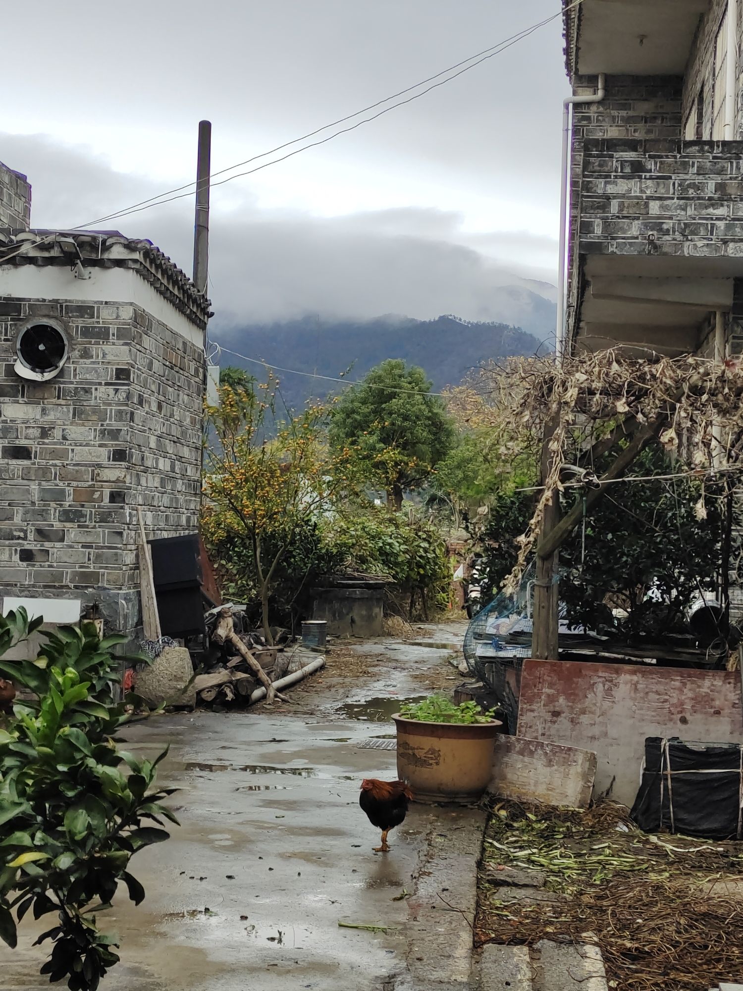 安义古村群景区旅行图片 3
