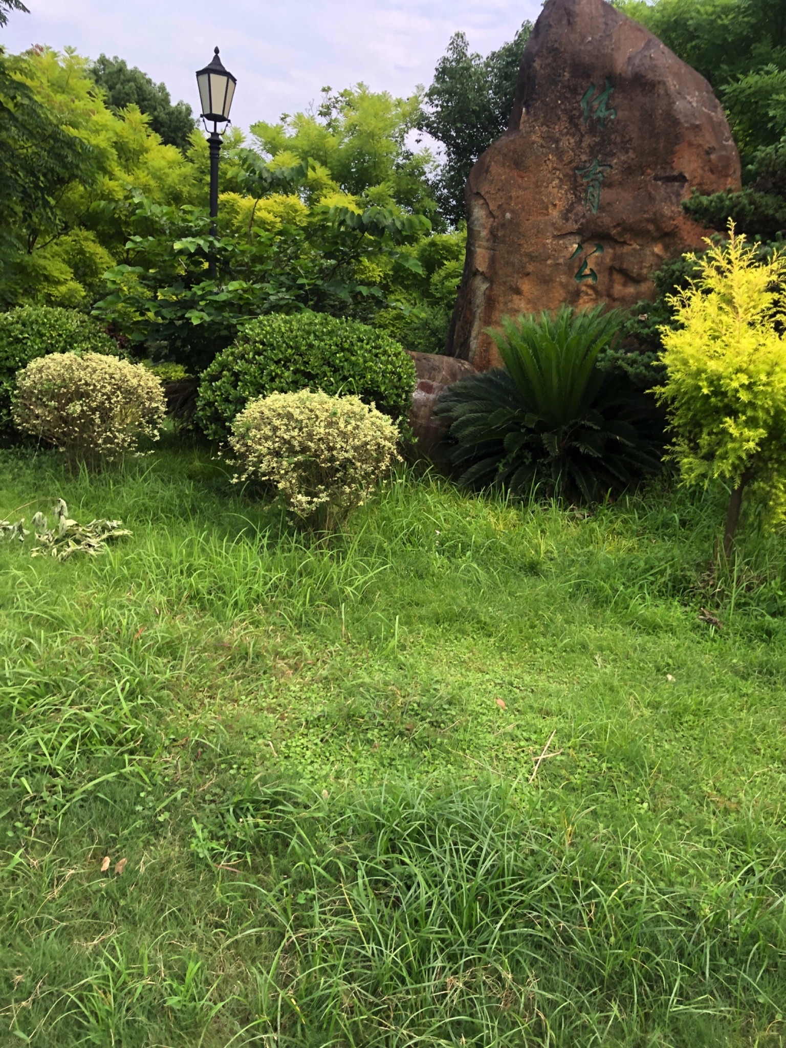 八一体育公园旅行图片 1