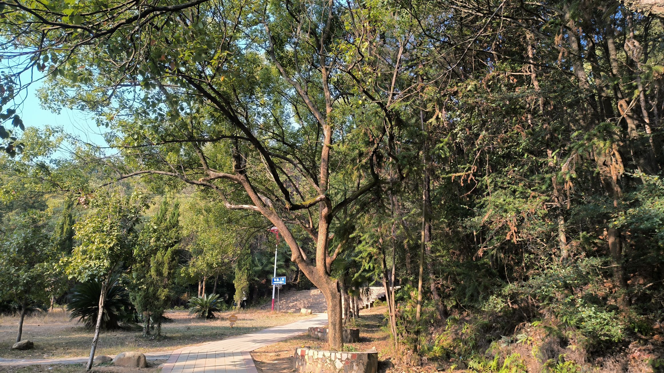 梦山景区旅行图片 3