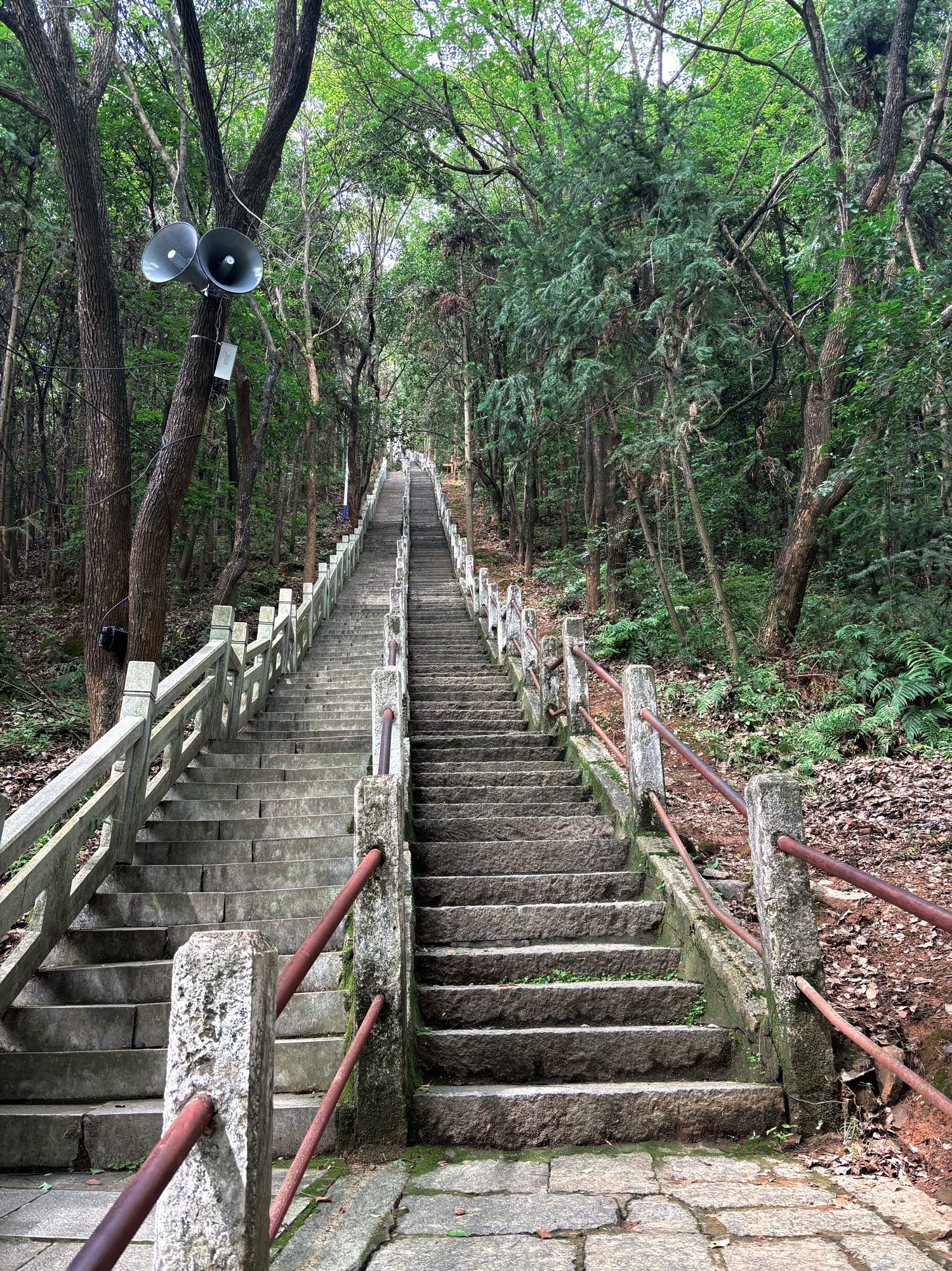 梦山景区旅行图片 2