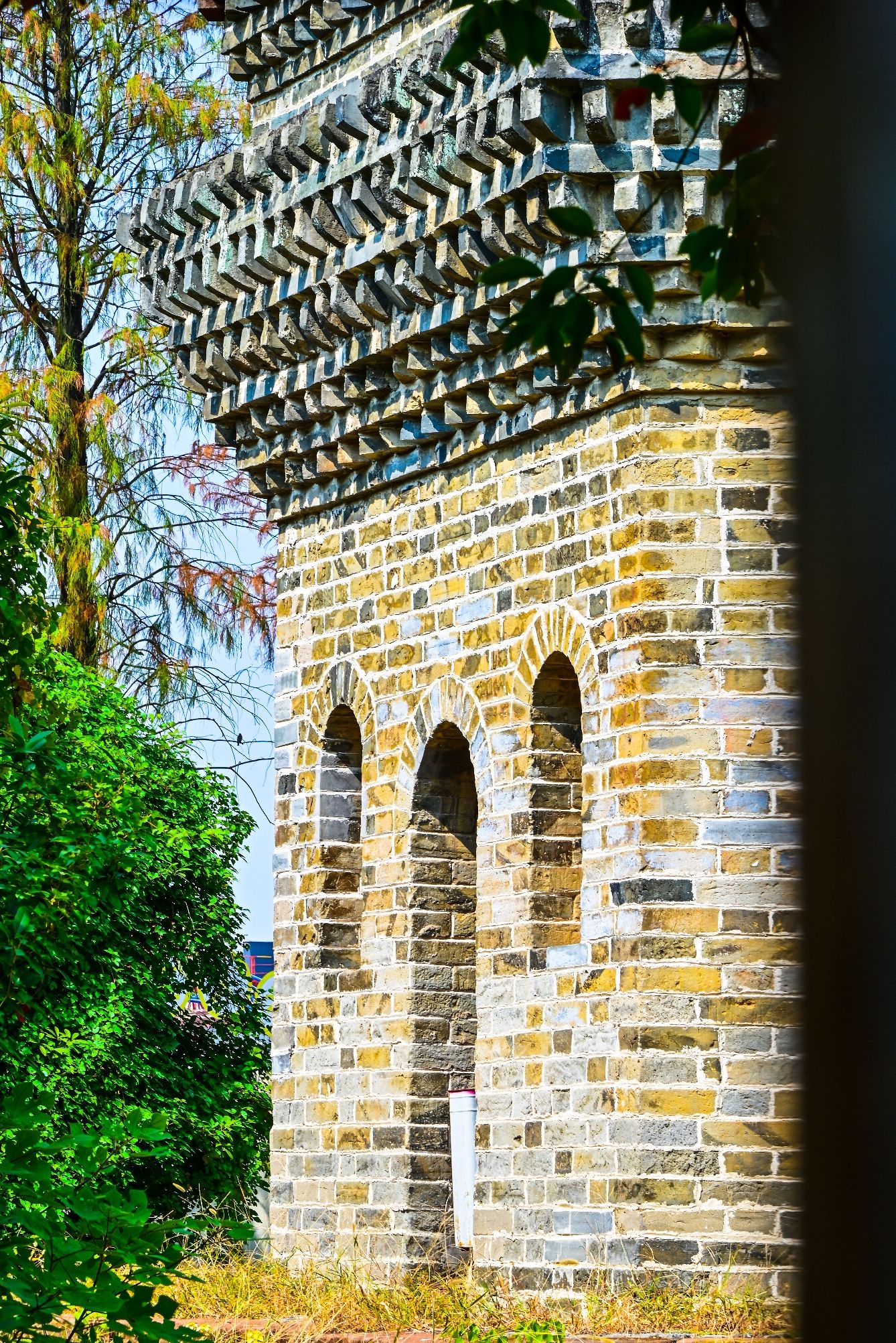 蜚英塔旅行图片 3