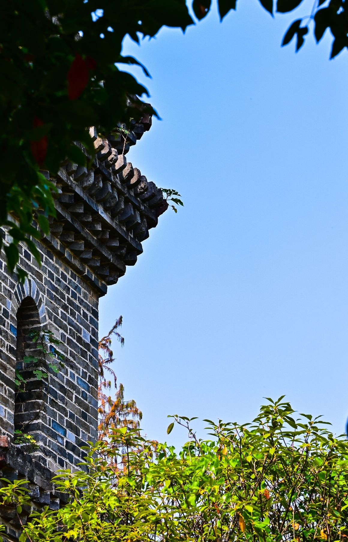 蜚英塔旅行图片 2