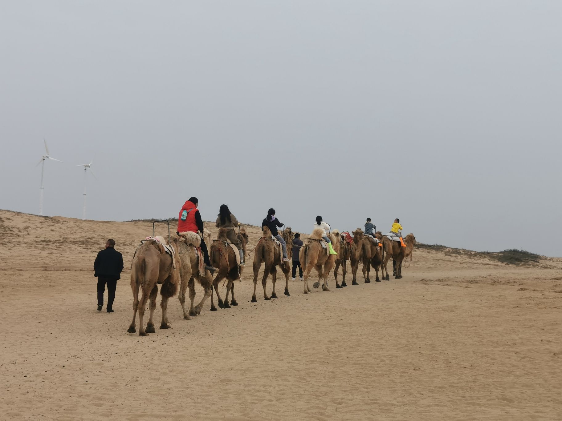 厚田沙漠生态旅游景区旅行图片 1
