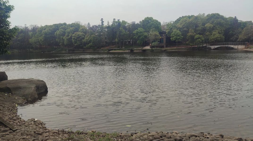 象山森林公园旅行图片 3