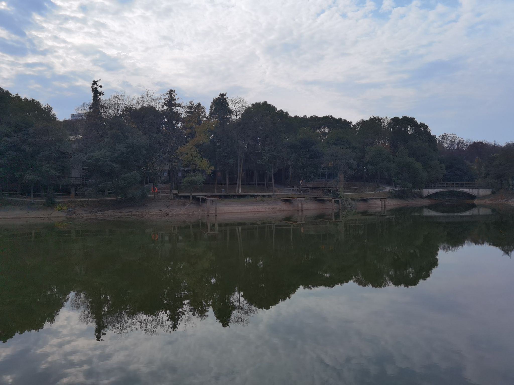 象山森林公园旅行图片 3