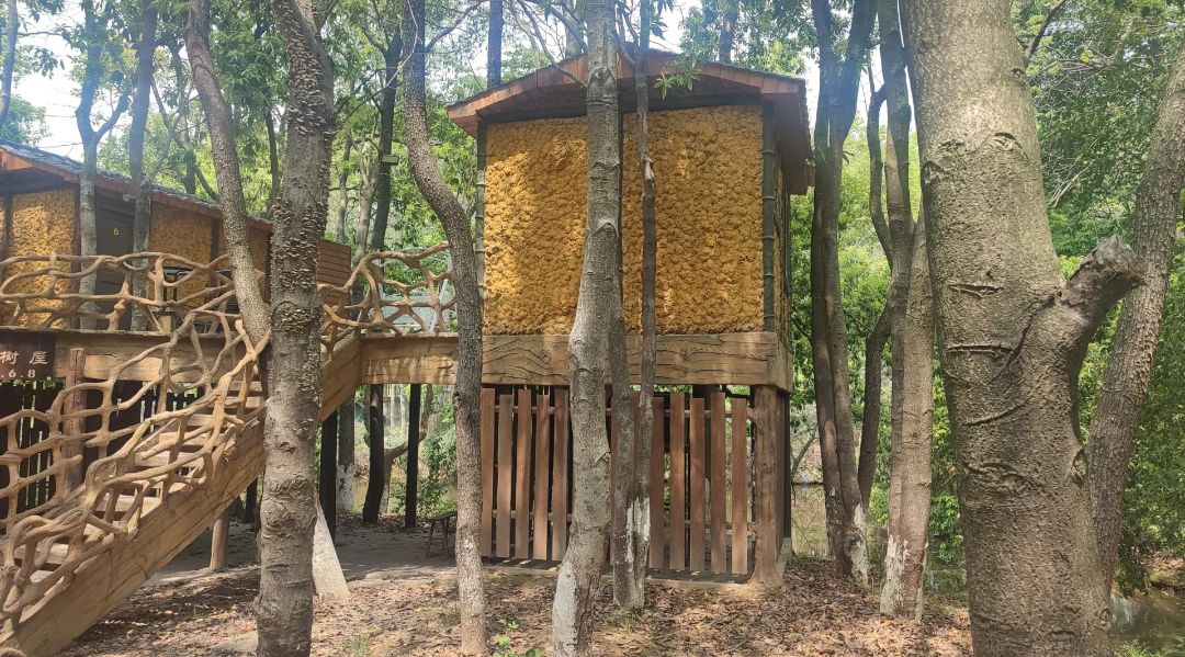 象山森林公园旅行图片 2