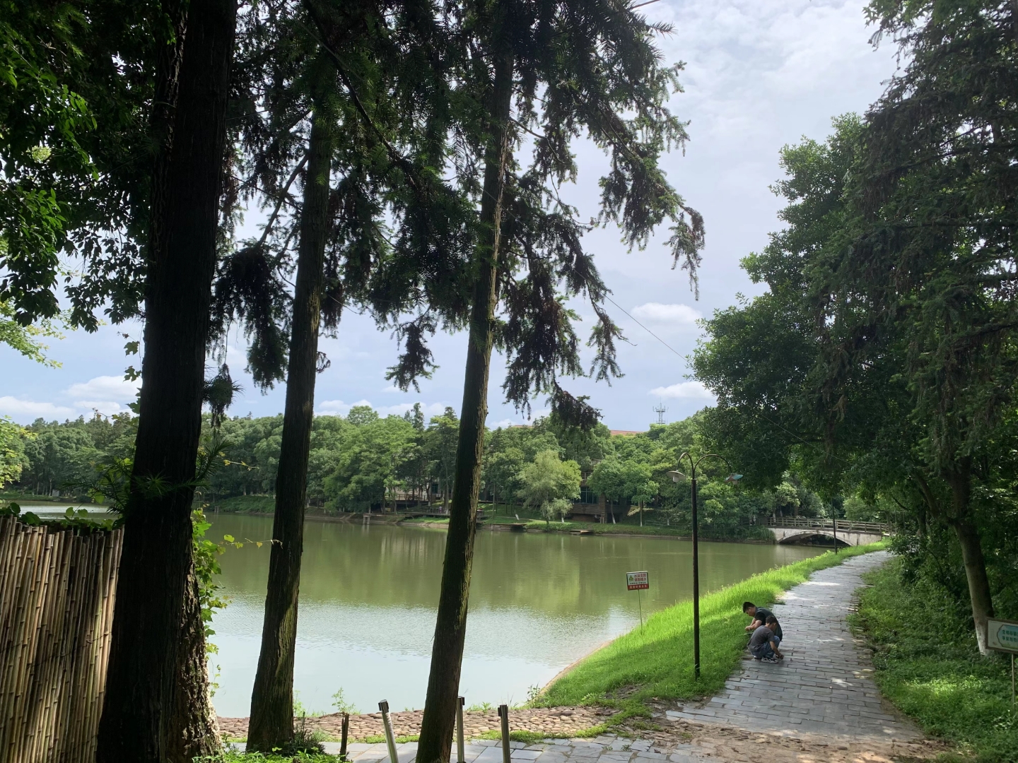 象山森林公园旅行图片 2
