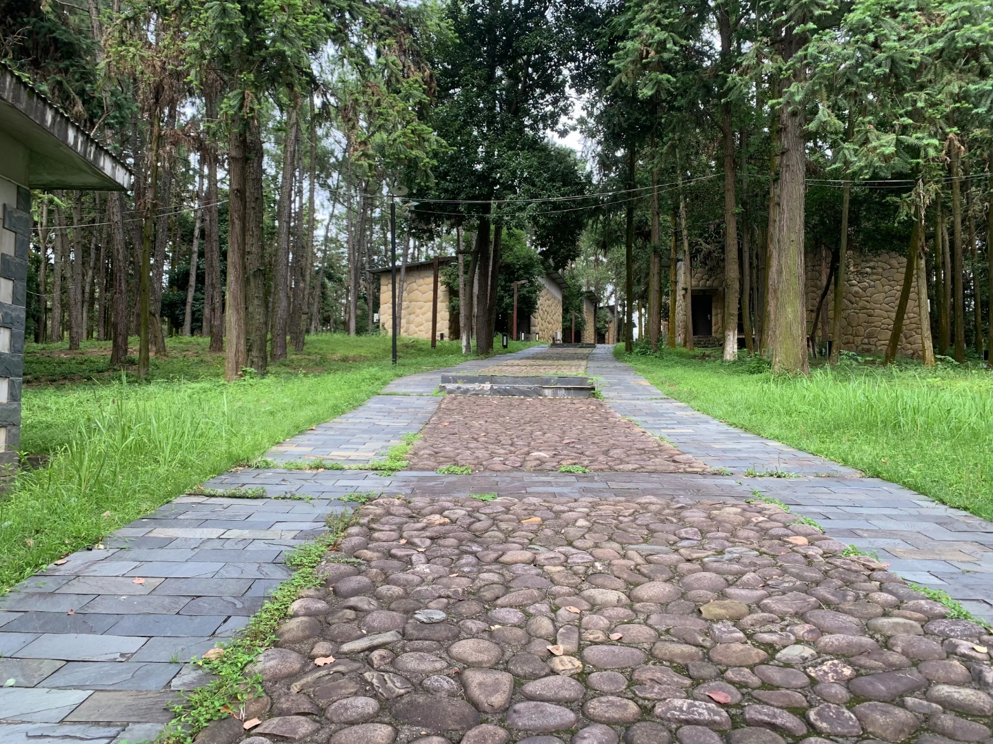 象山森林公园旅行图片 3