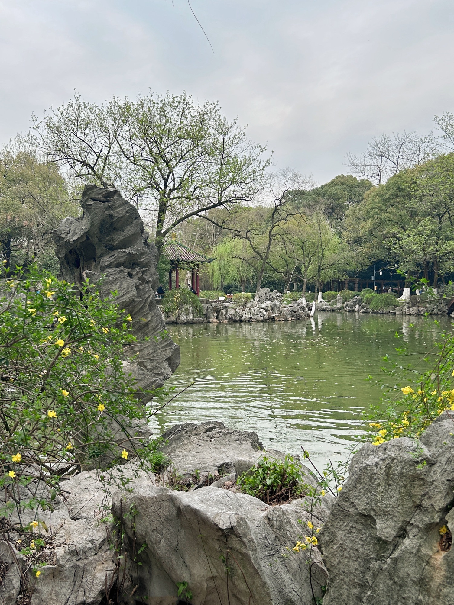 人民公园旅行图片 3