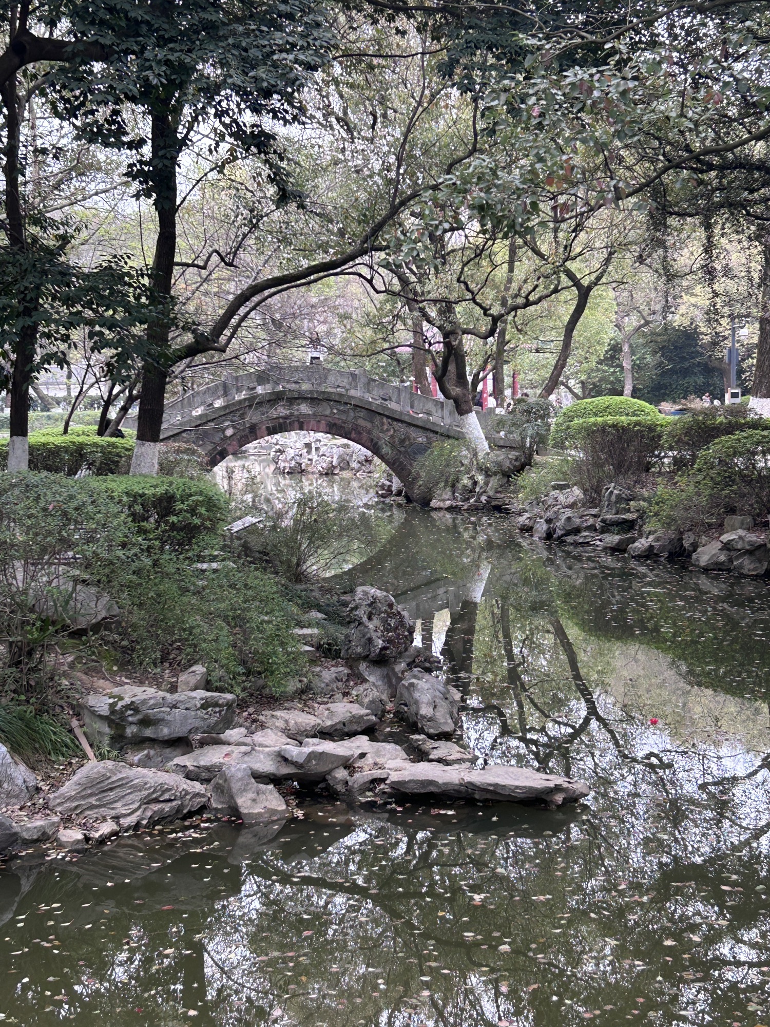 人民公园旅行图片 1