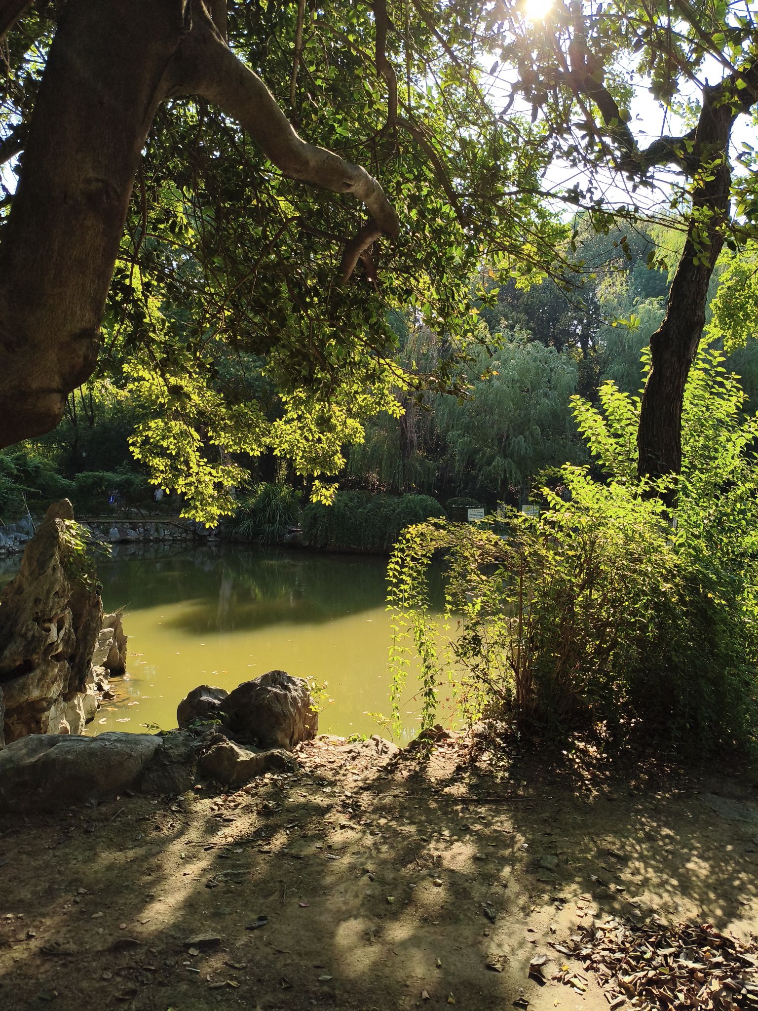 人民公园旅行图片 3