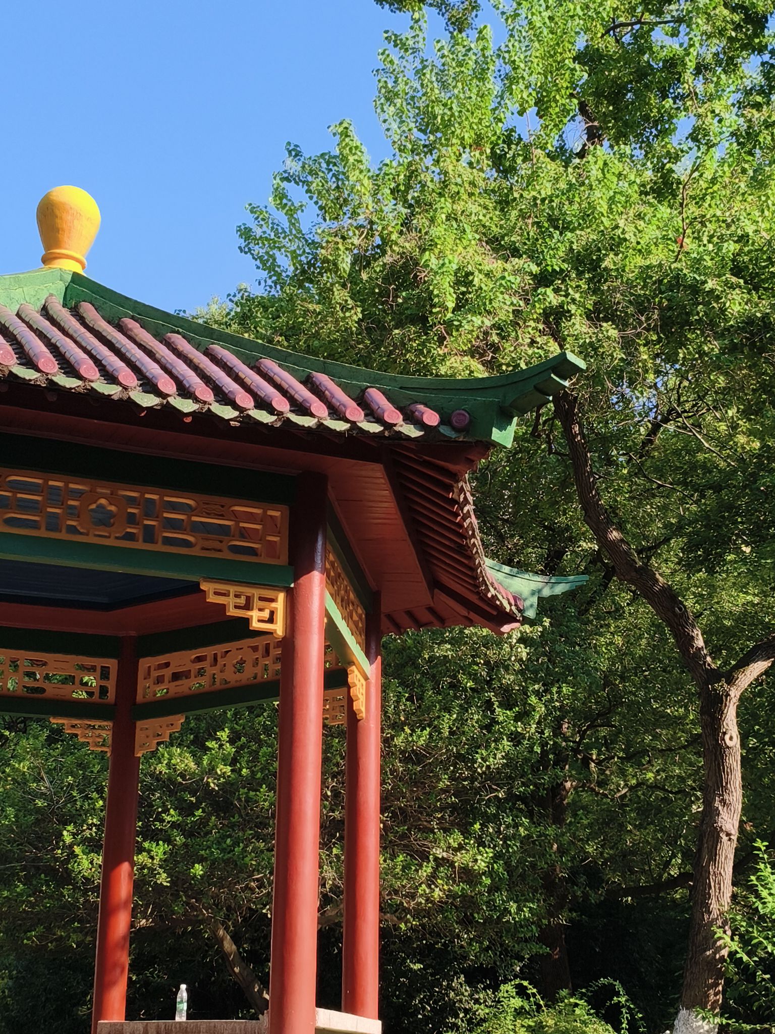 人民公园旅行图片 1