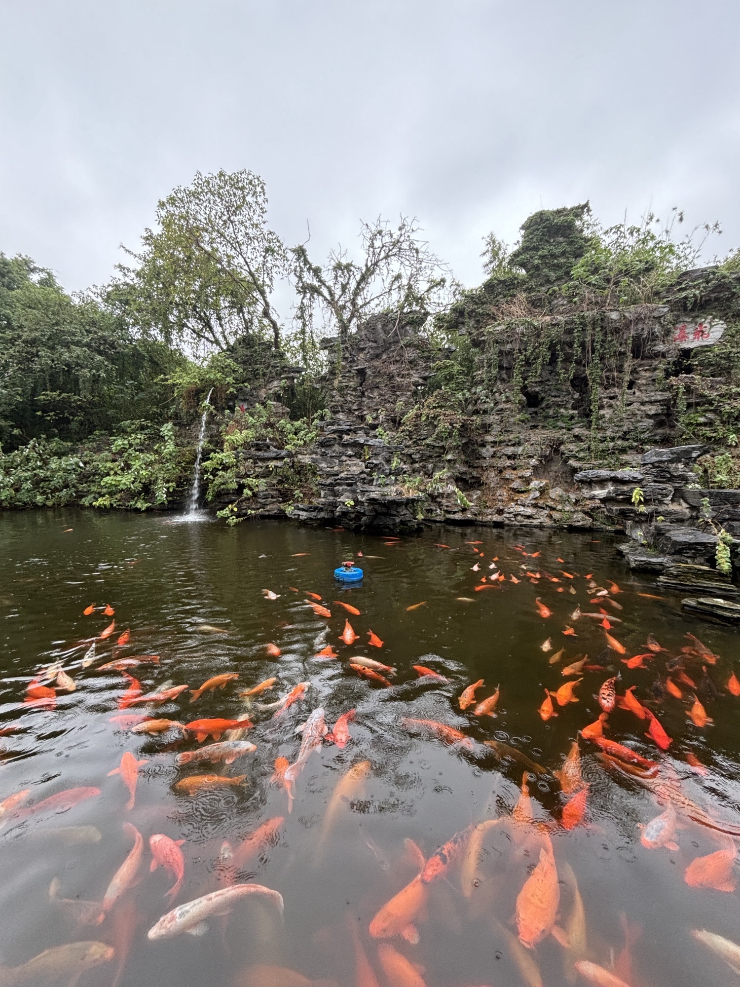 天香园旅行图片 2