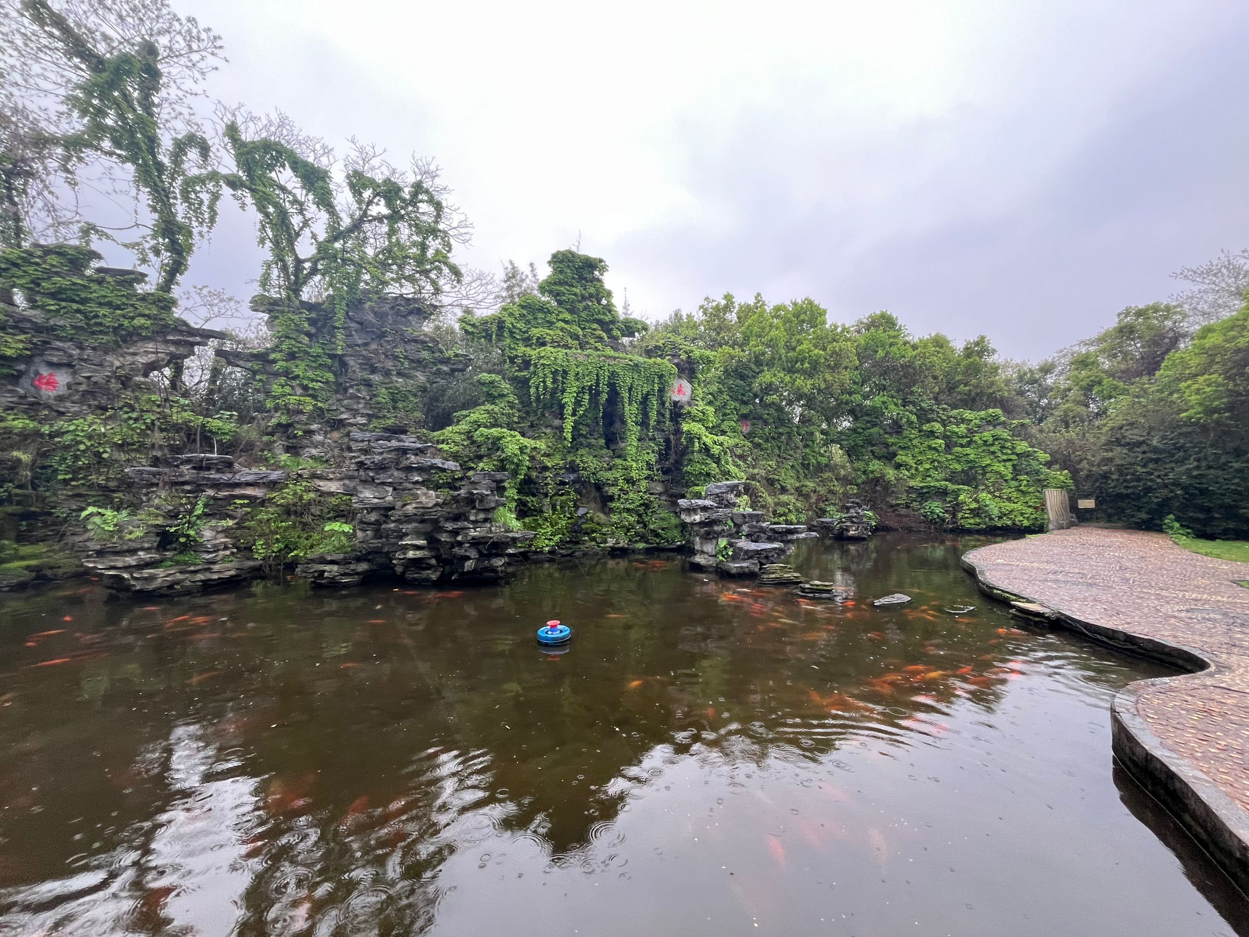 天香园旅行图片 1