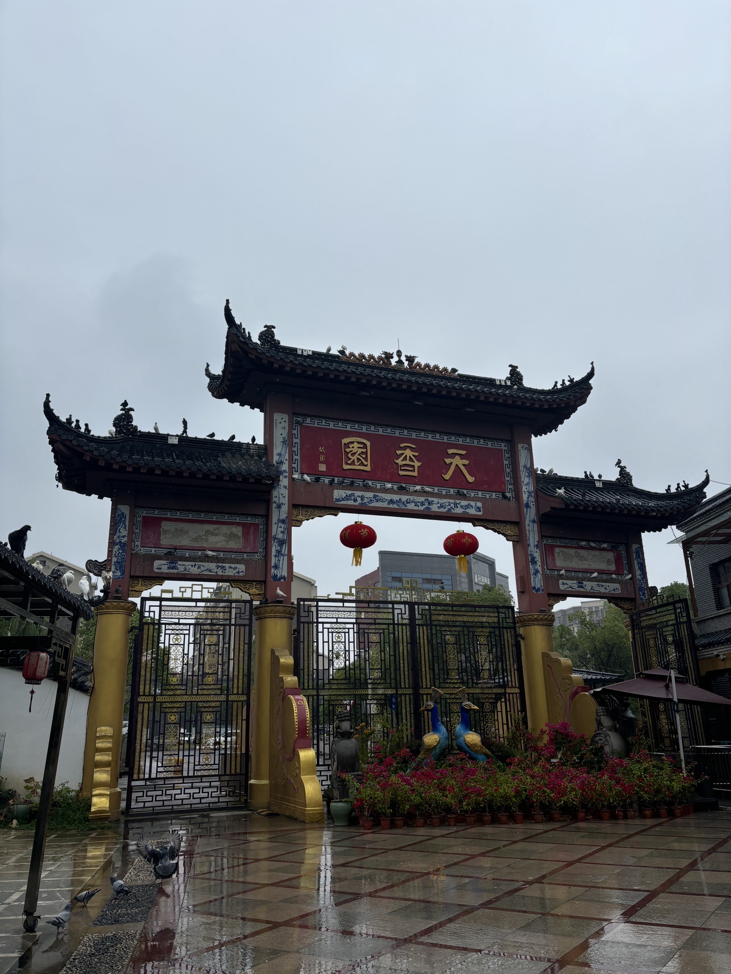 天香园旅行图片 1