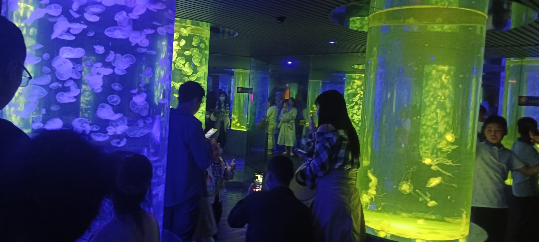 南昌海洋公园旅行图片 3