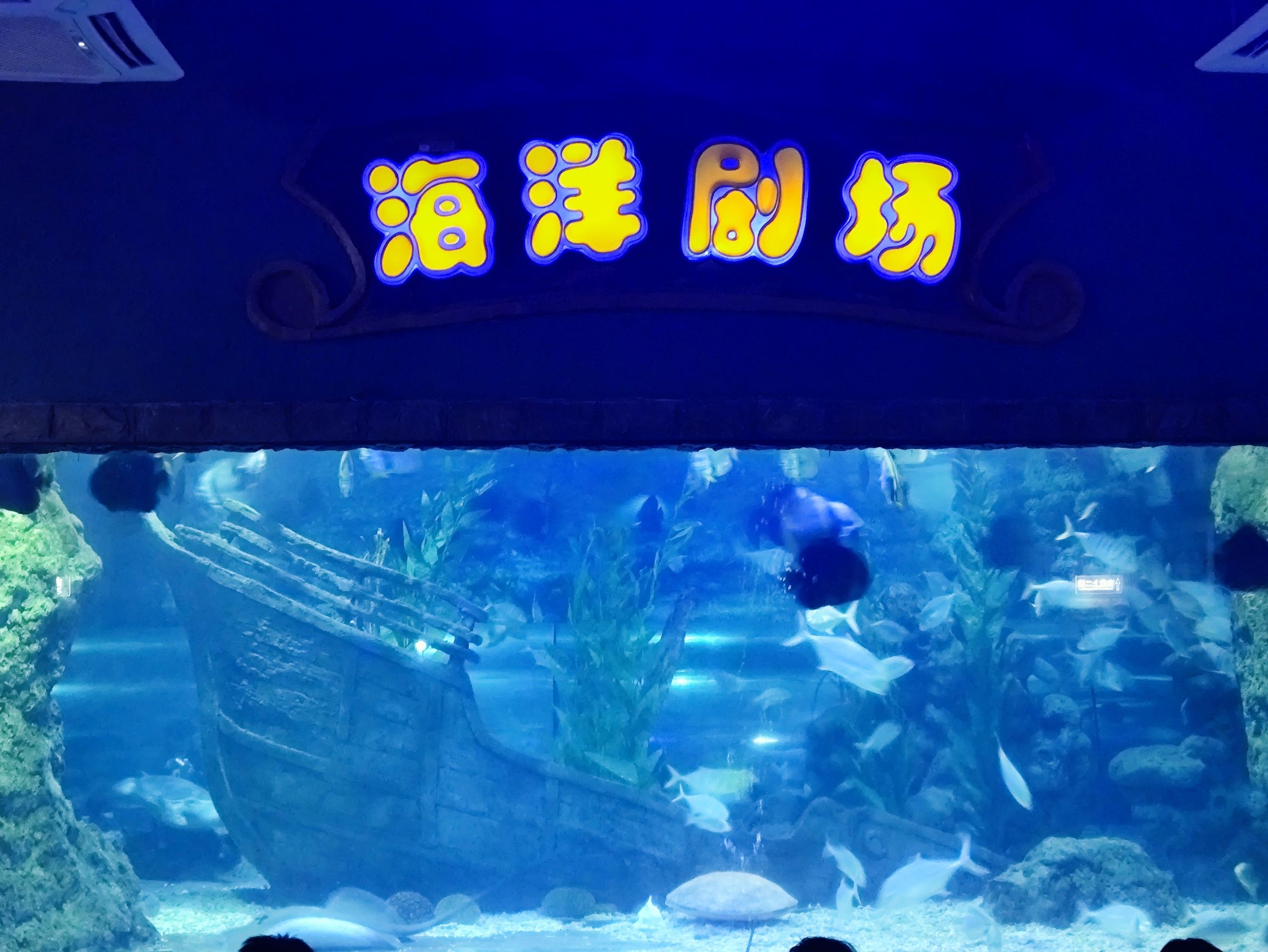 南昌海洋公园旅行图片 3