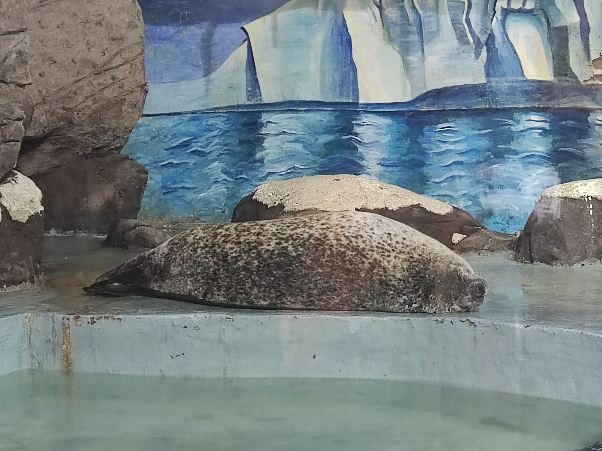 南昌海洋公园旅行图片 2