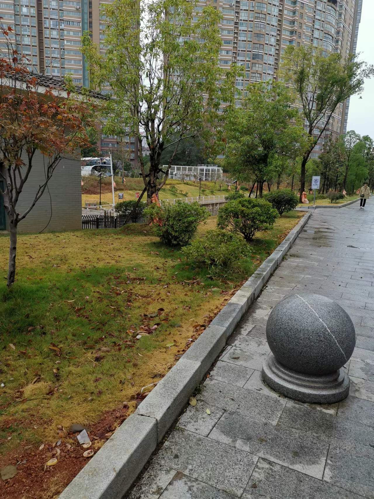 玉带河北支公园旅行图片 2