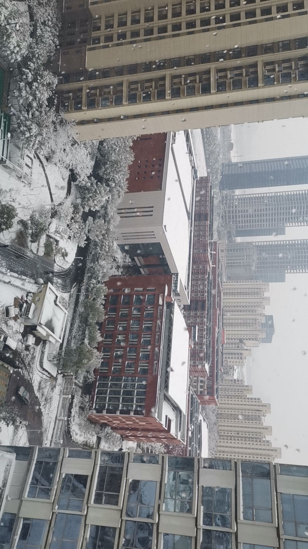 洪都公园旅行图片 3