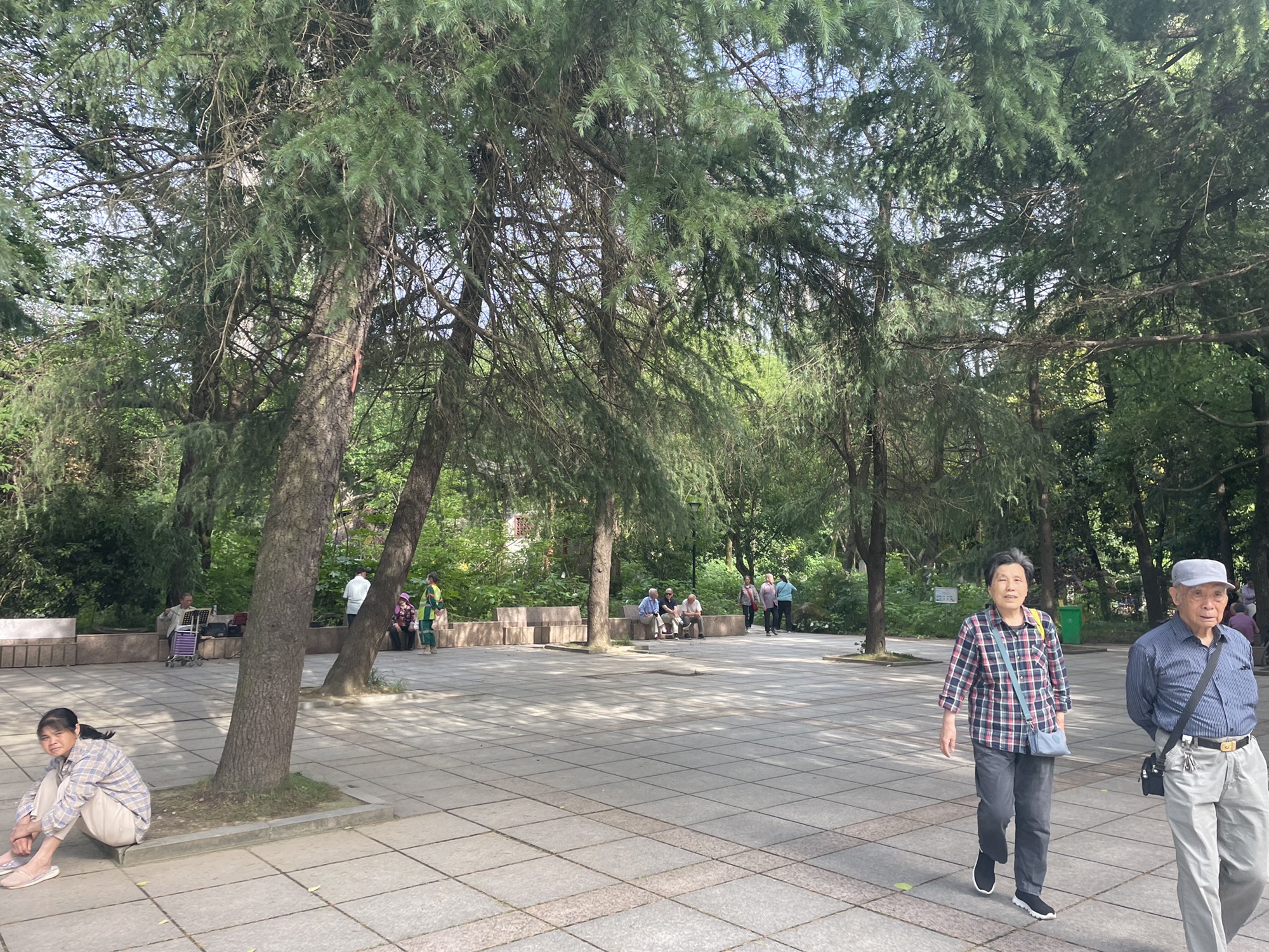 洪都公园旅行图片 3