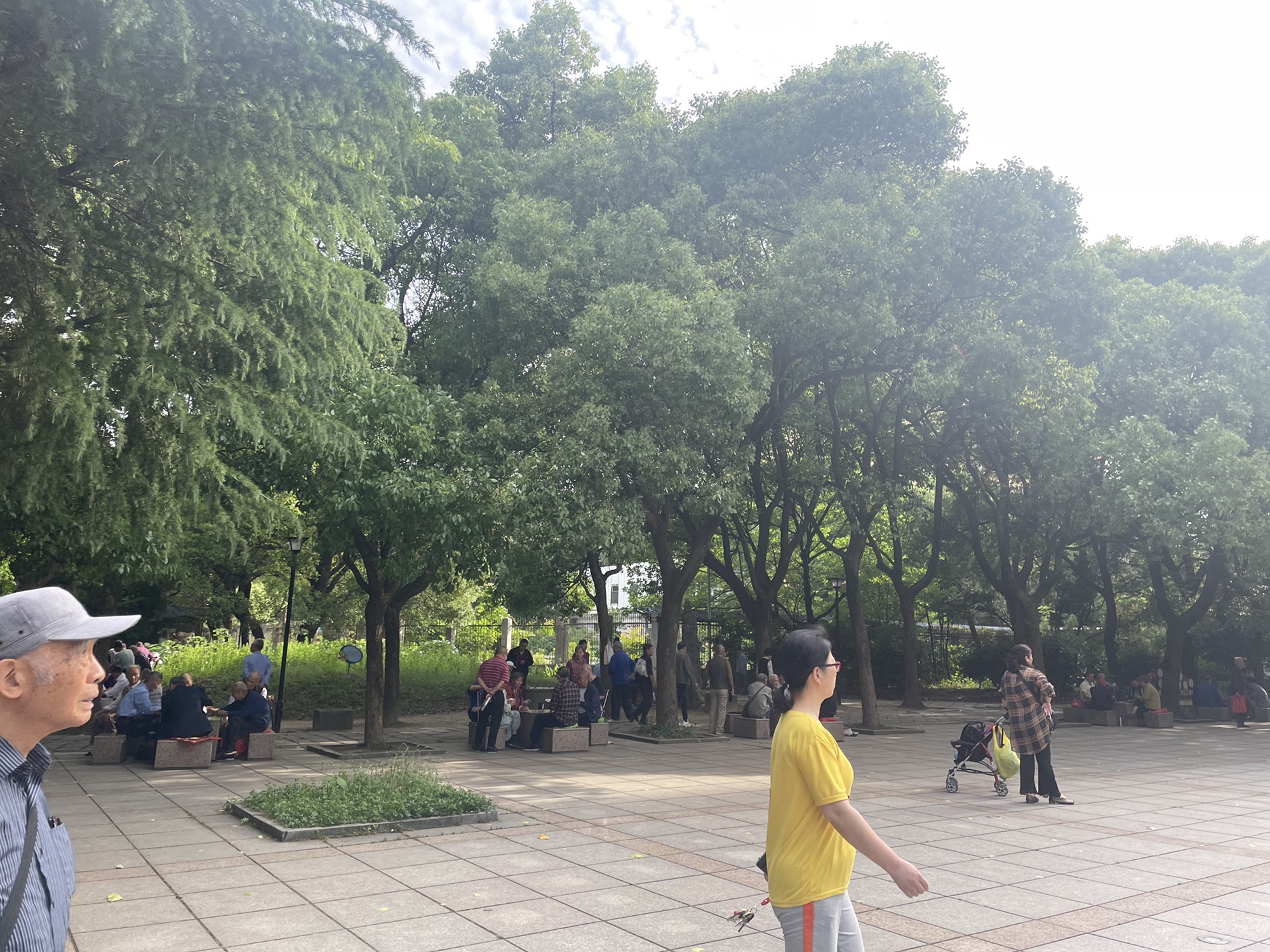 洪都公园旅行图片 2
