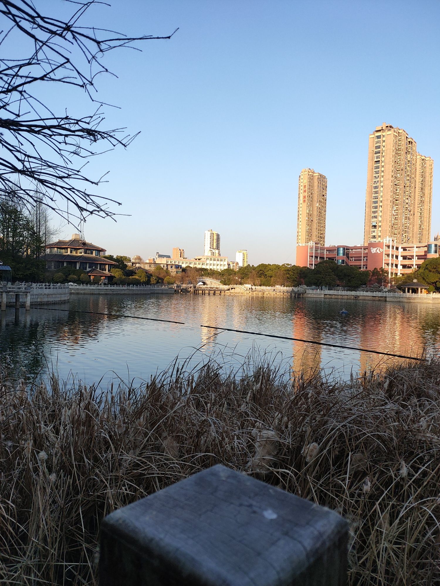 贤士湖公园旅行图片 3