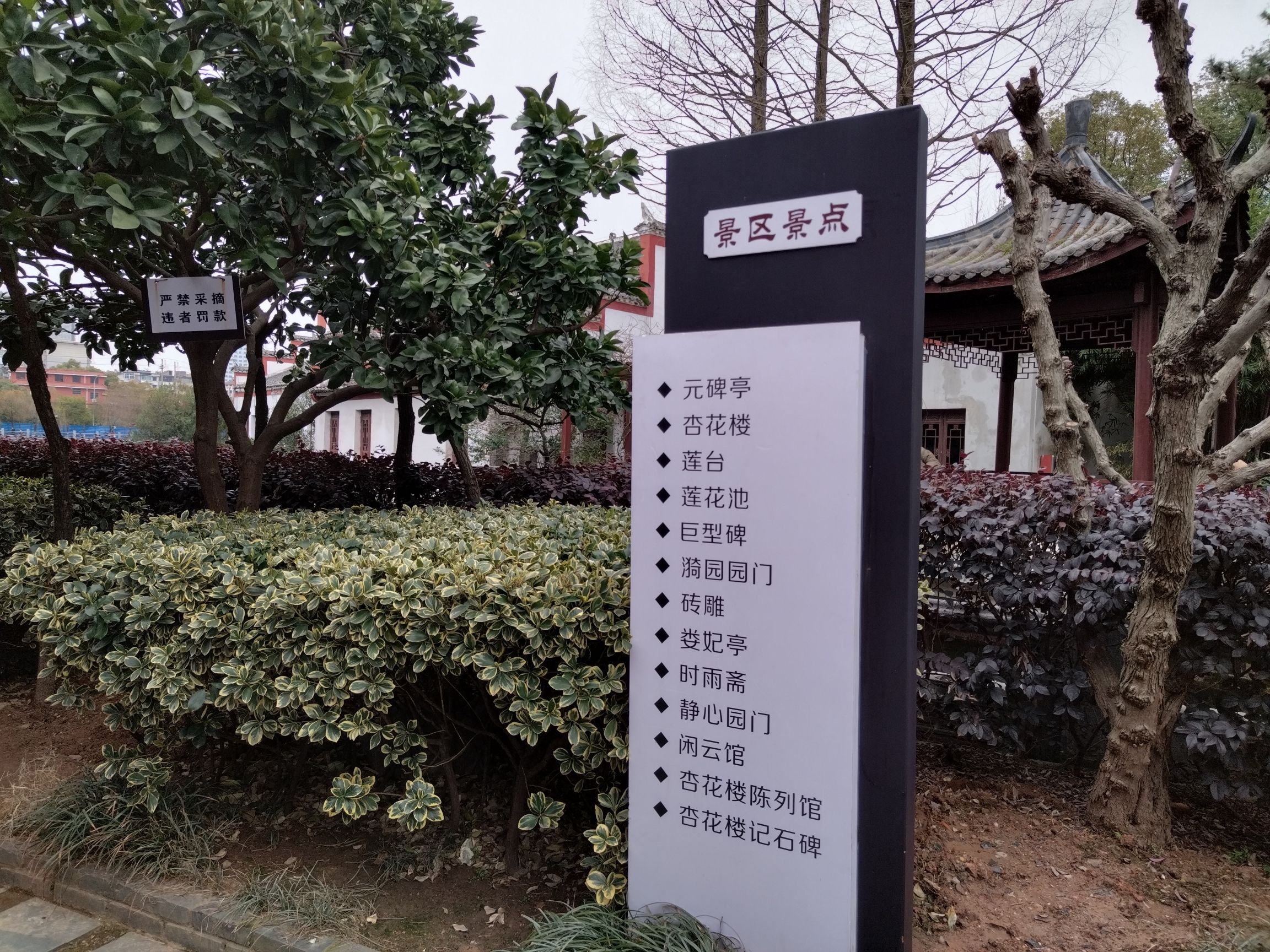 水观音亭-杏花楼旅行图片 3