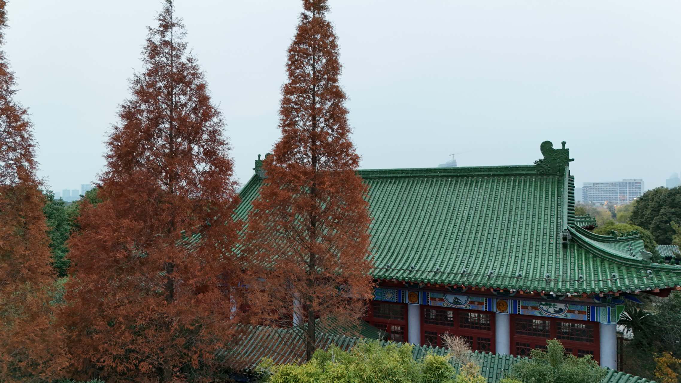 环漪阁旅行图片 2