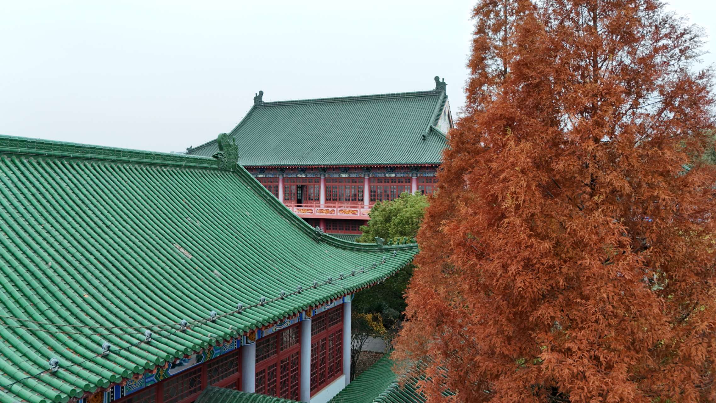 环漪阁旅行图片 1