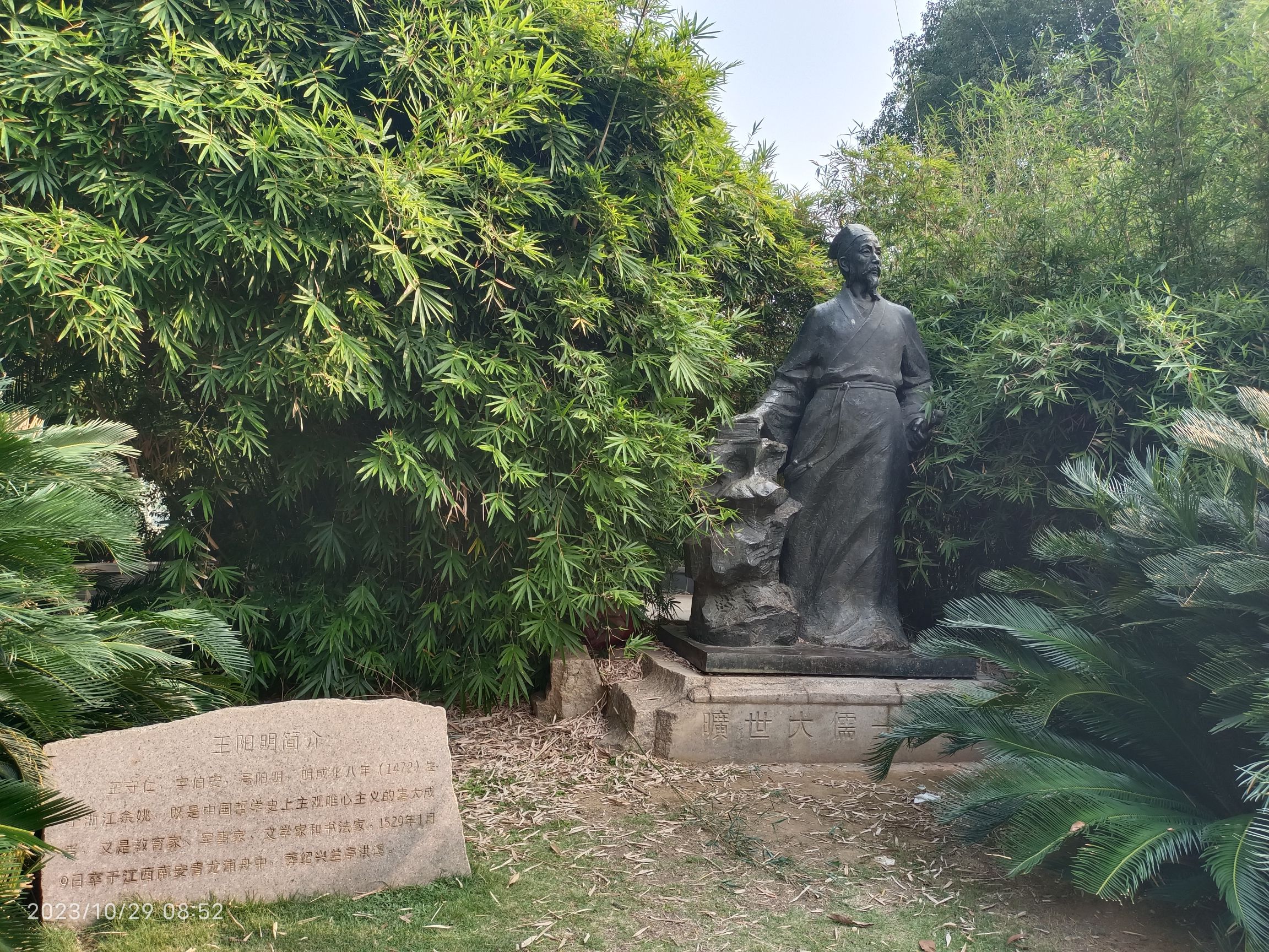 阳明公园旅行图片 1