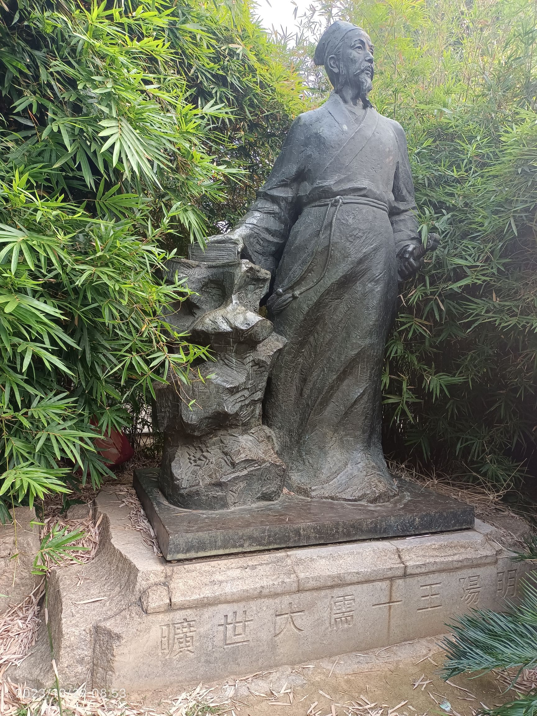 阳明公园旅行图片 3