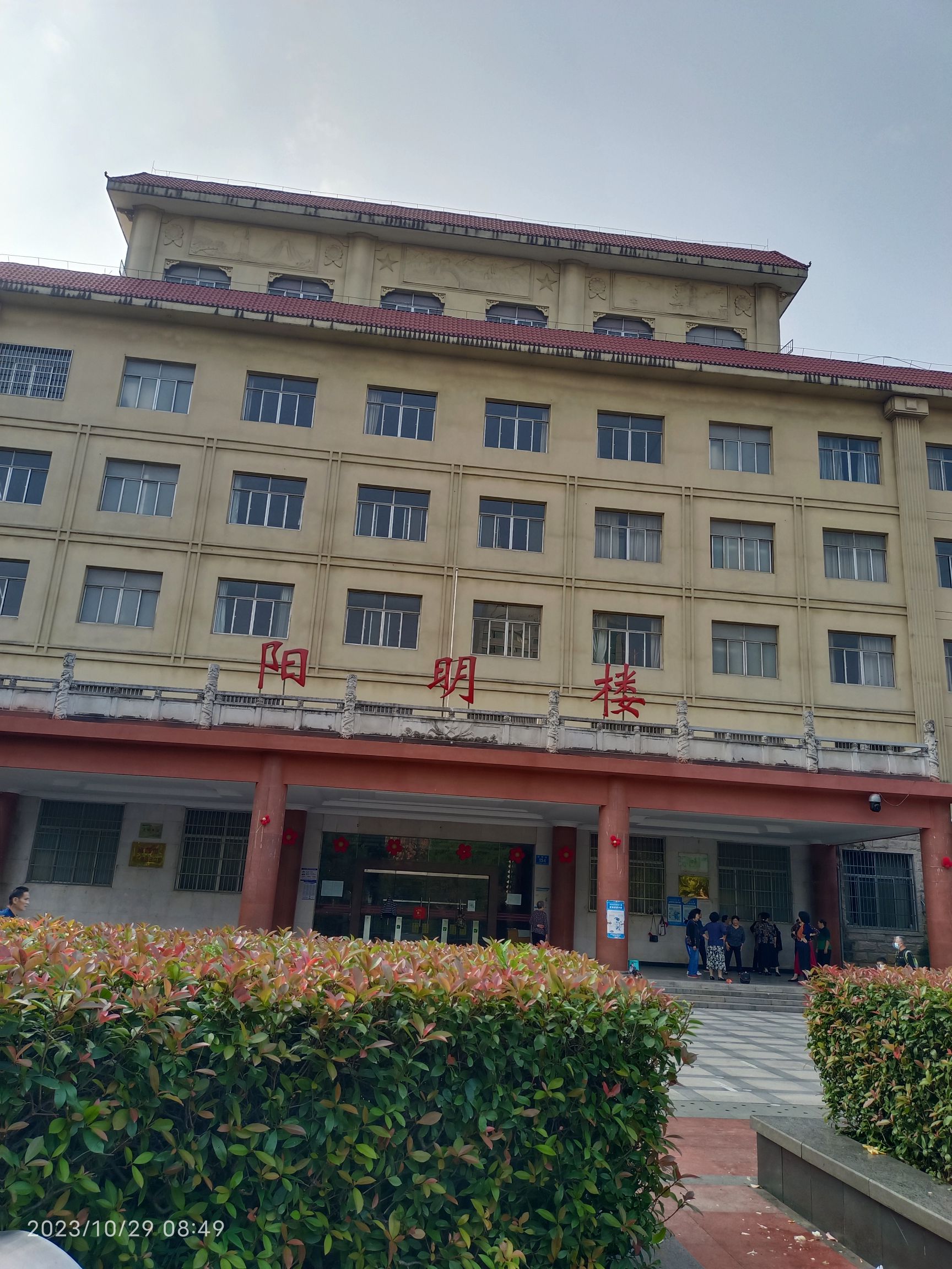 阳明公园旅行图片 2