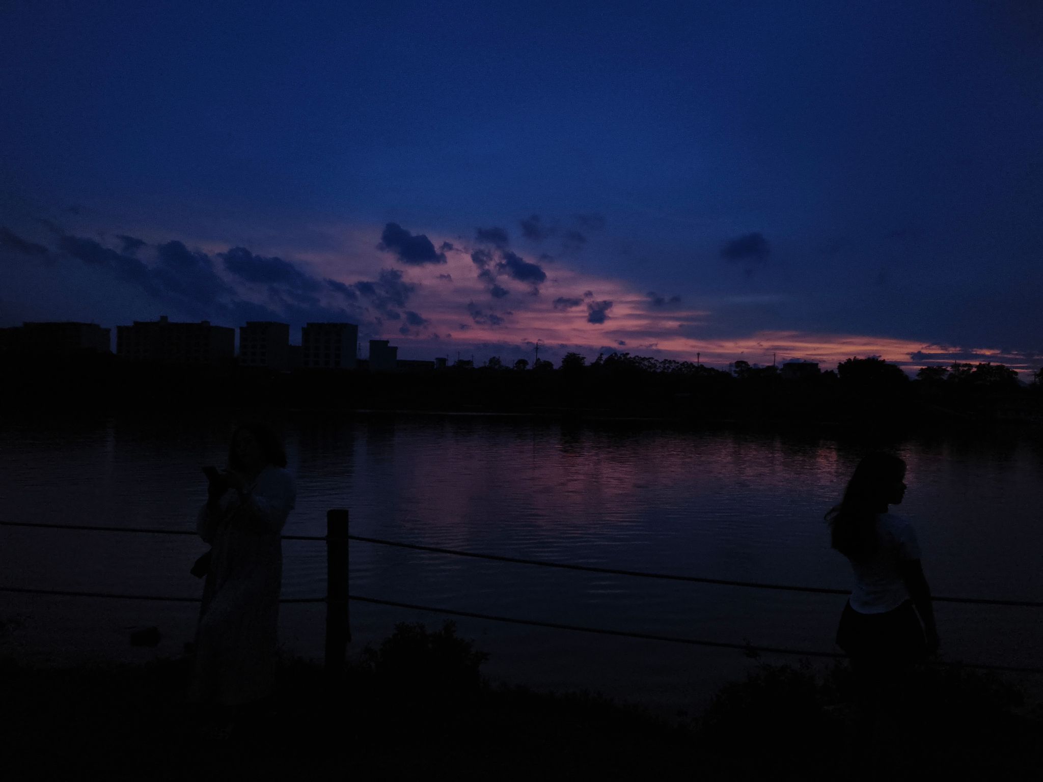 阳明公园旅行图片 1