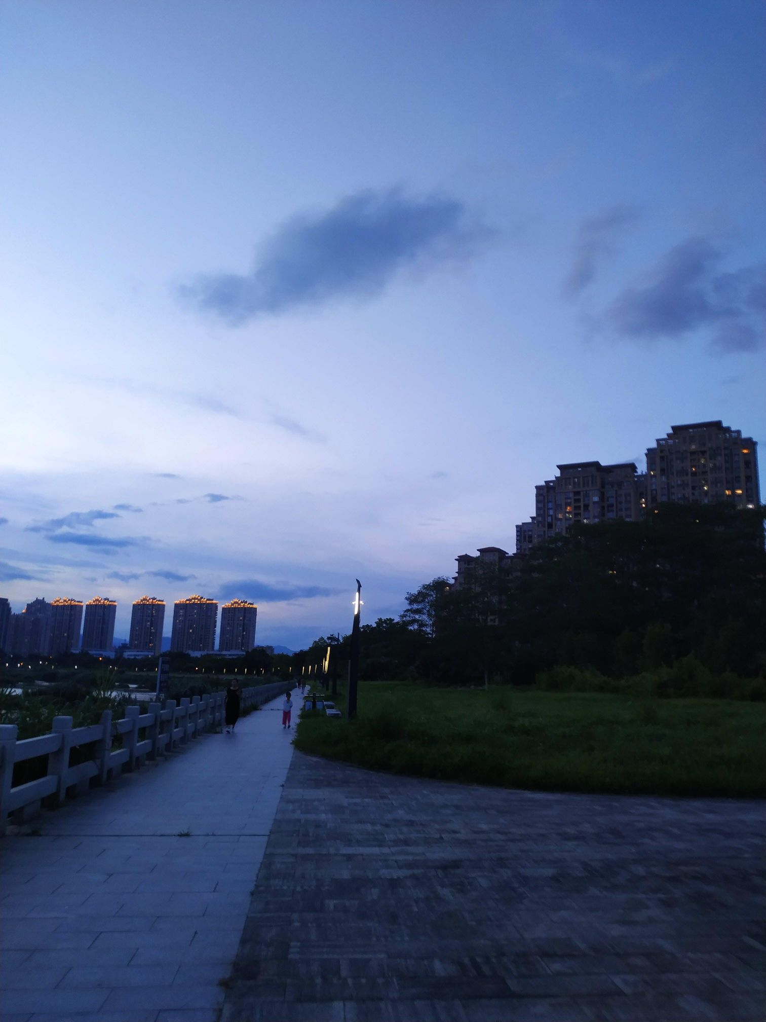 阳明公园旅行图片 1