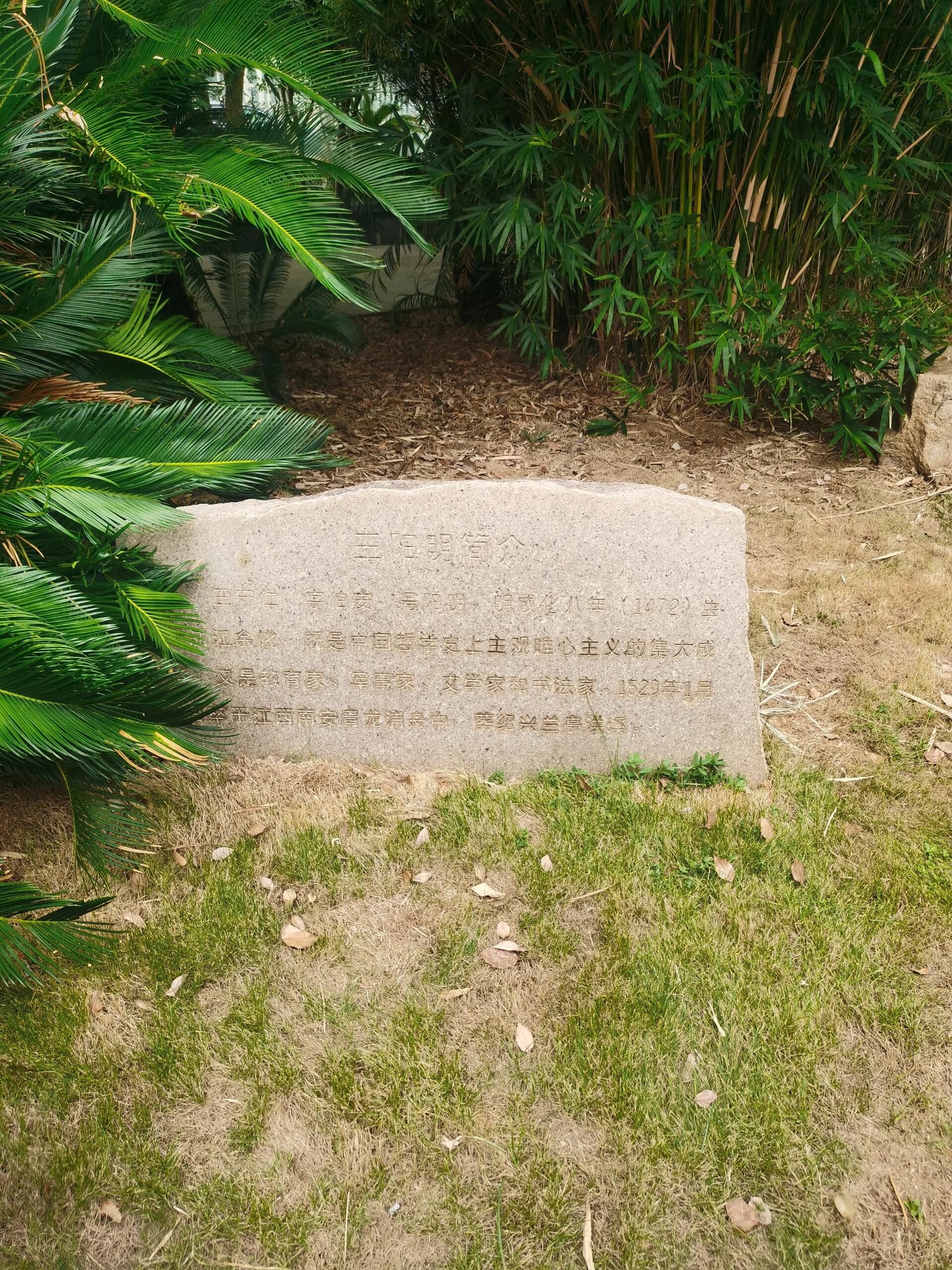 阳明公园旅行图片 2