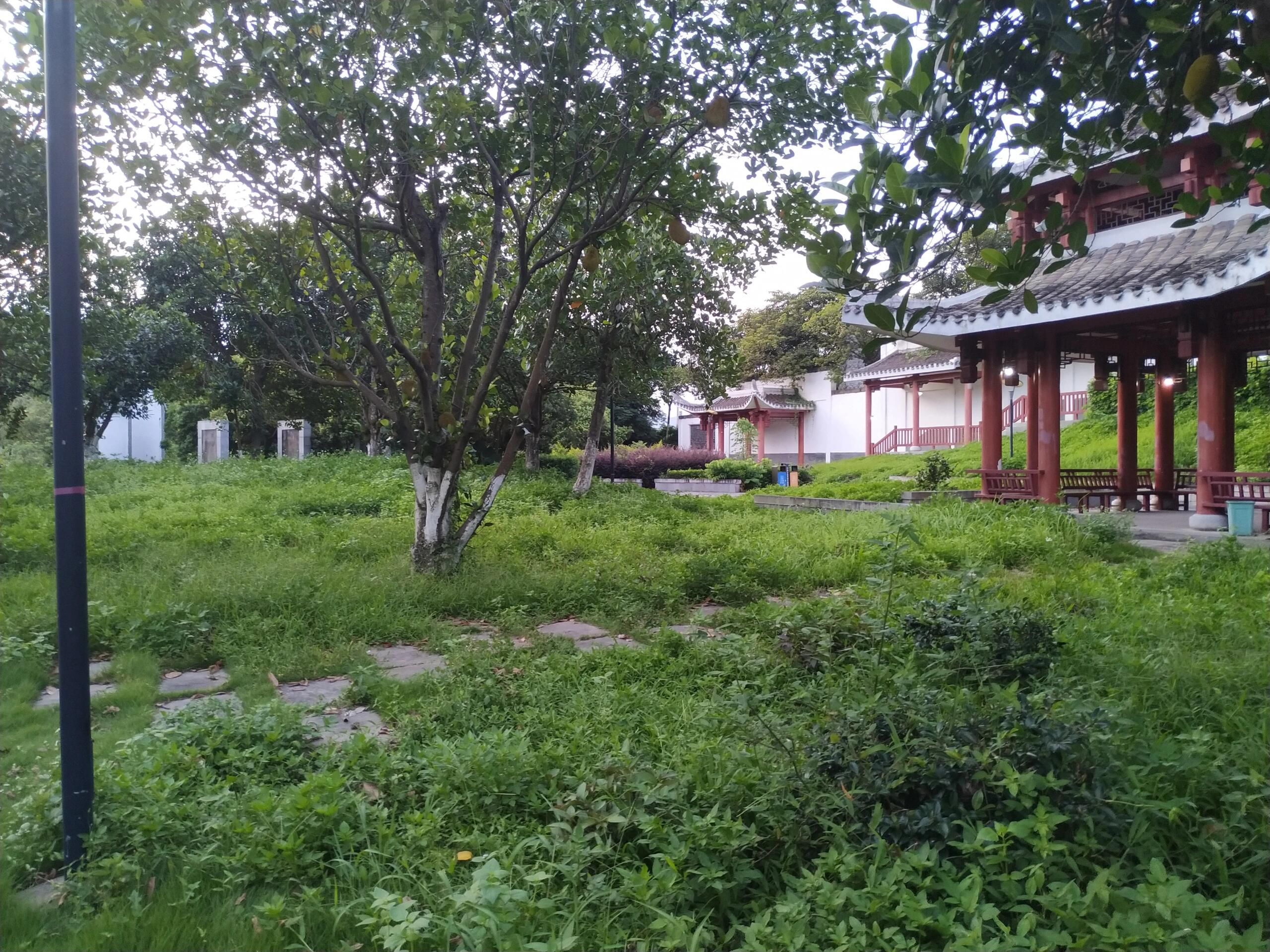 阳明公园旅行图片 3
