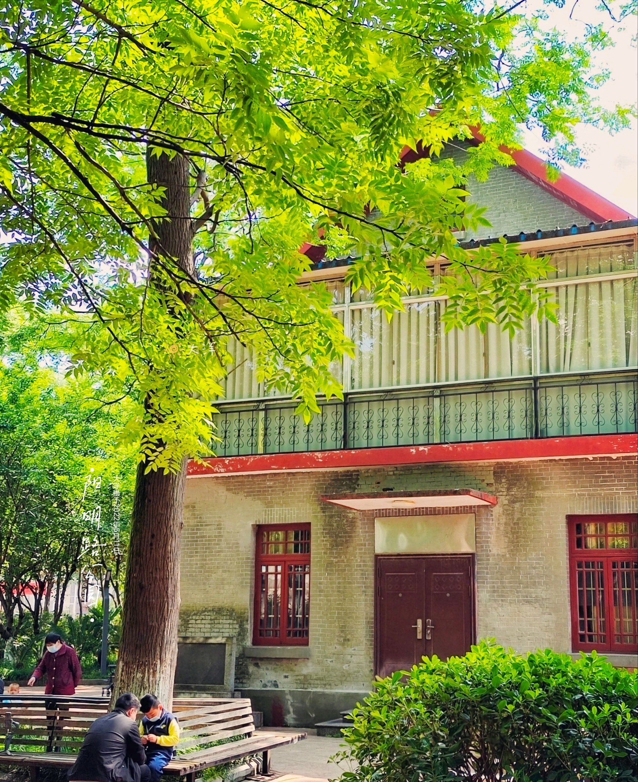 阳明公园旅行图片 2