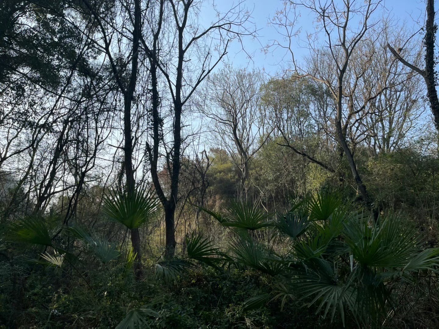 江西南矶山自然保护区旅行图片 3