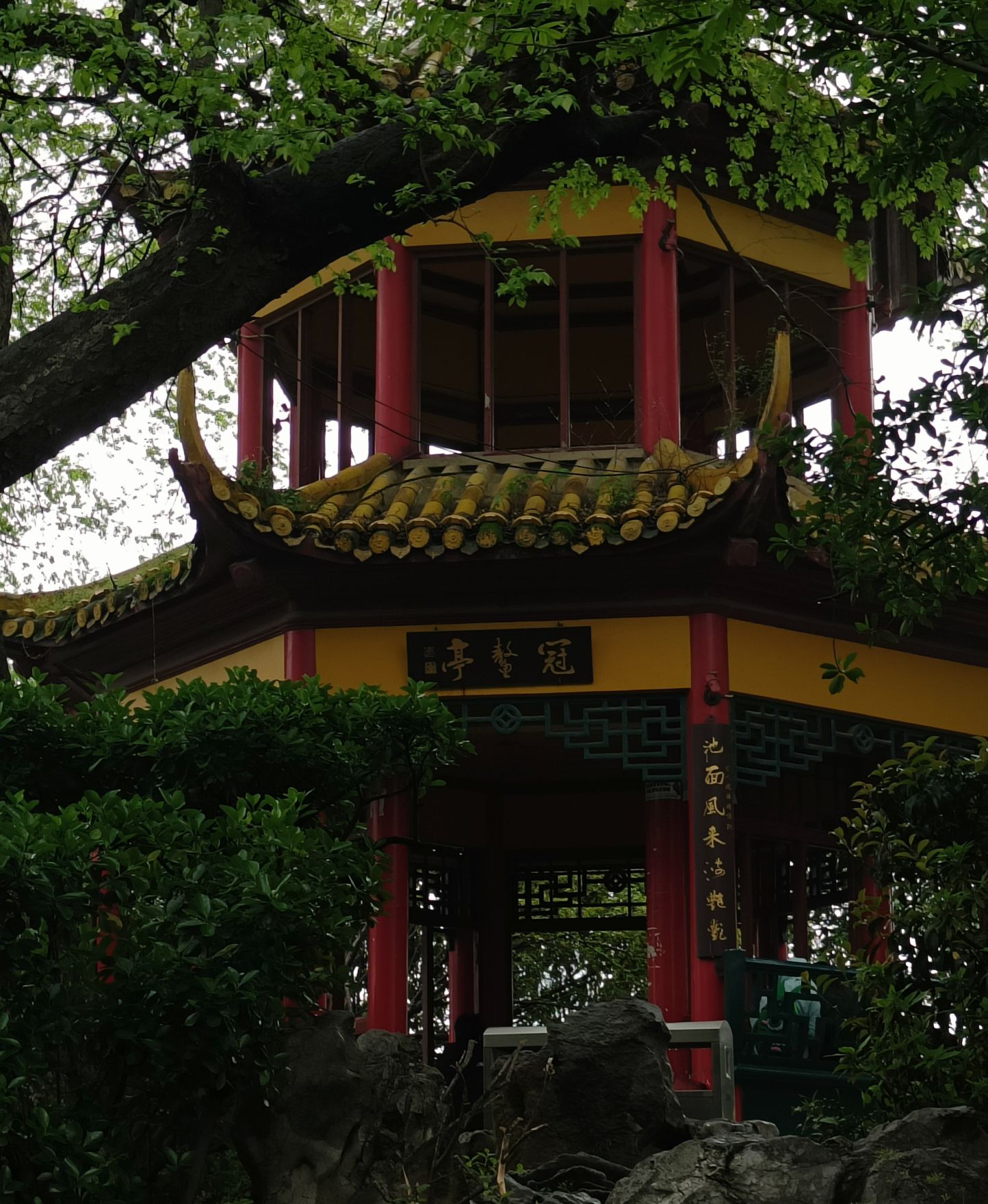 八一公园旅行图片 2