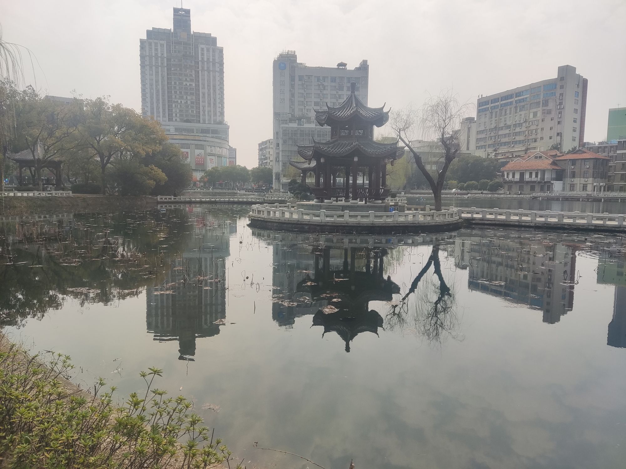 八一公园旅行图片 1